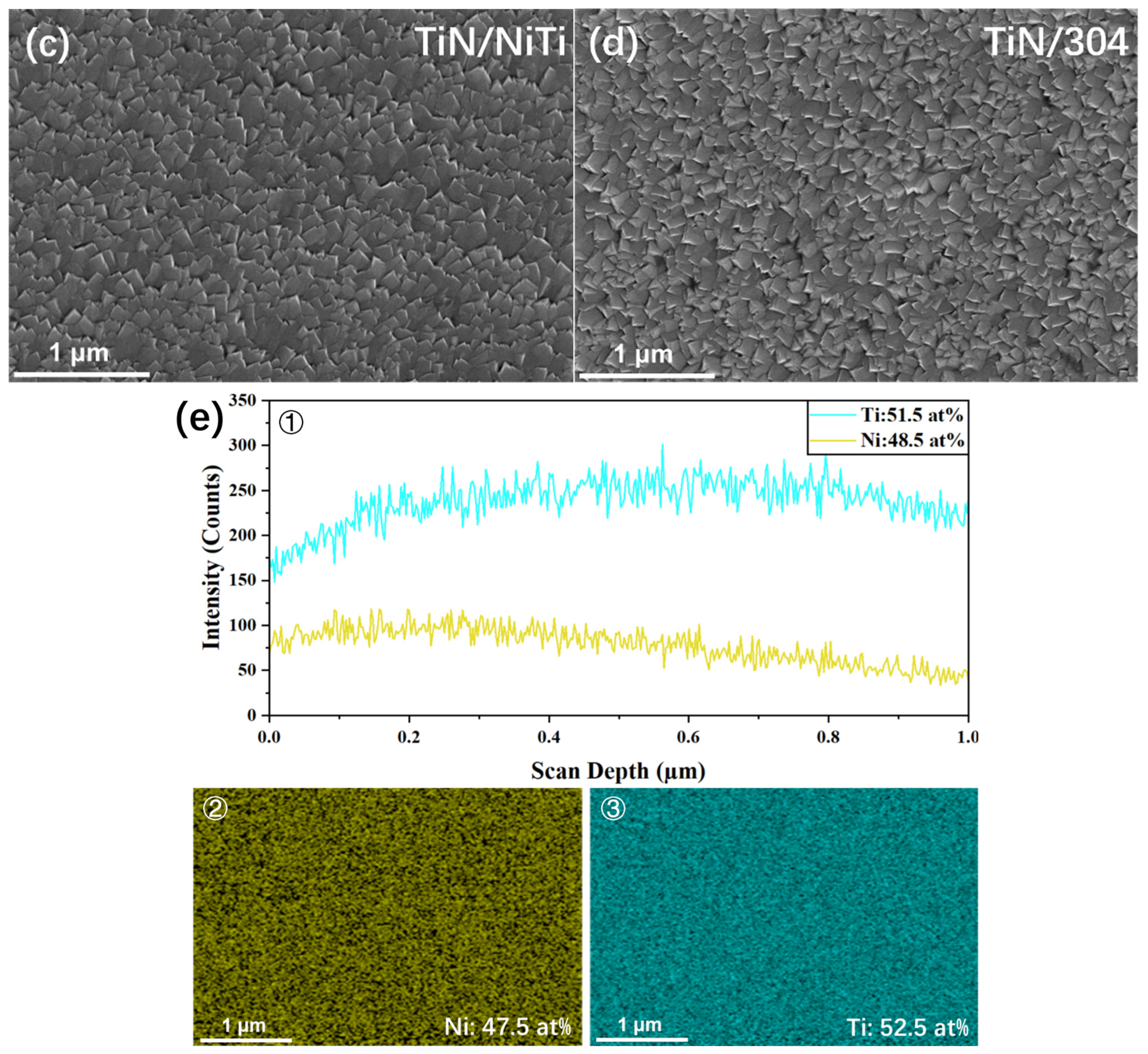 Coatings 15 00155 g002b