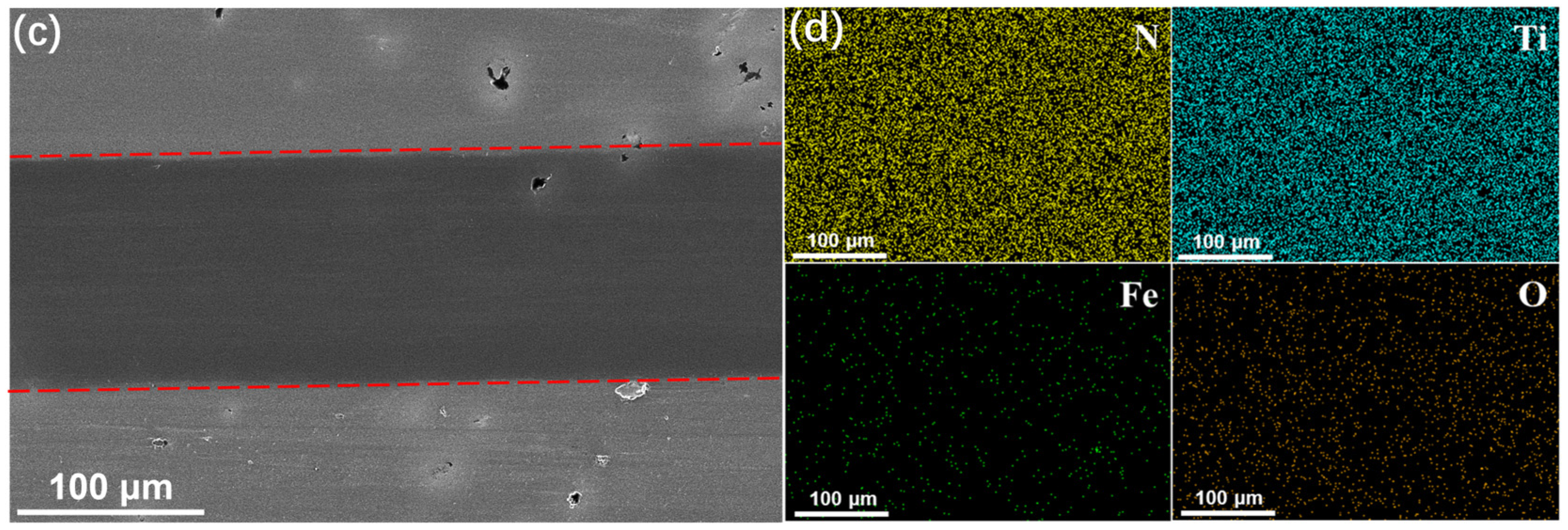 Coatings 15 00155 g004b