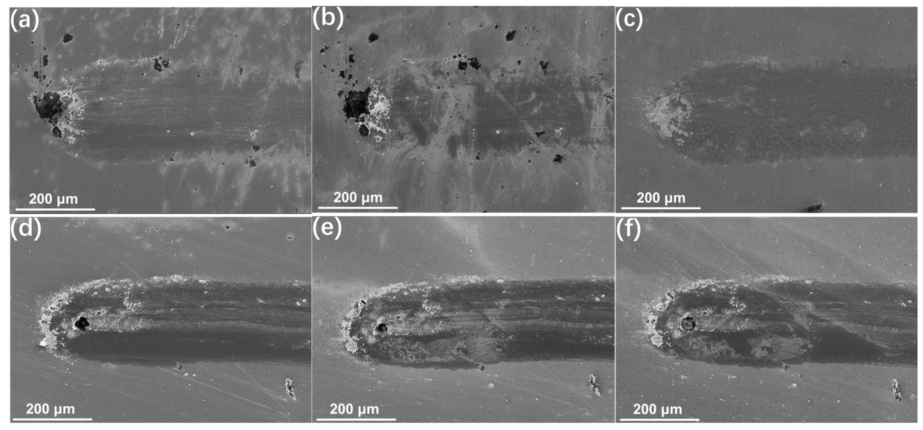 Coatings 15 00155 g012