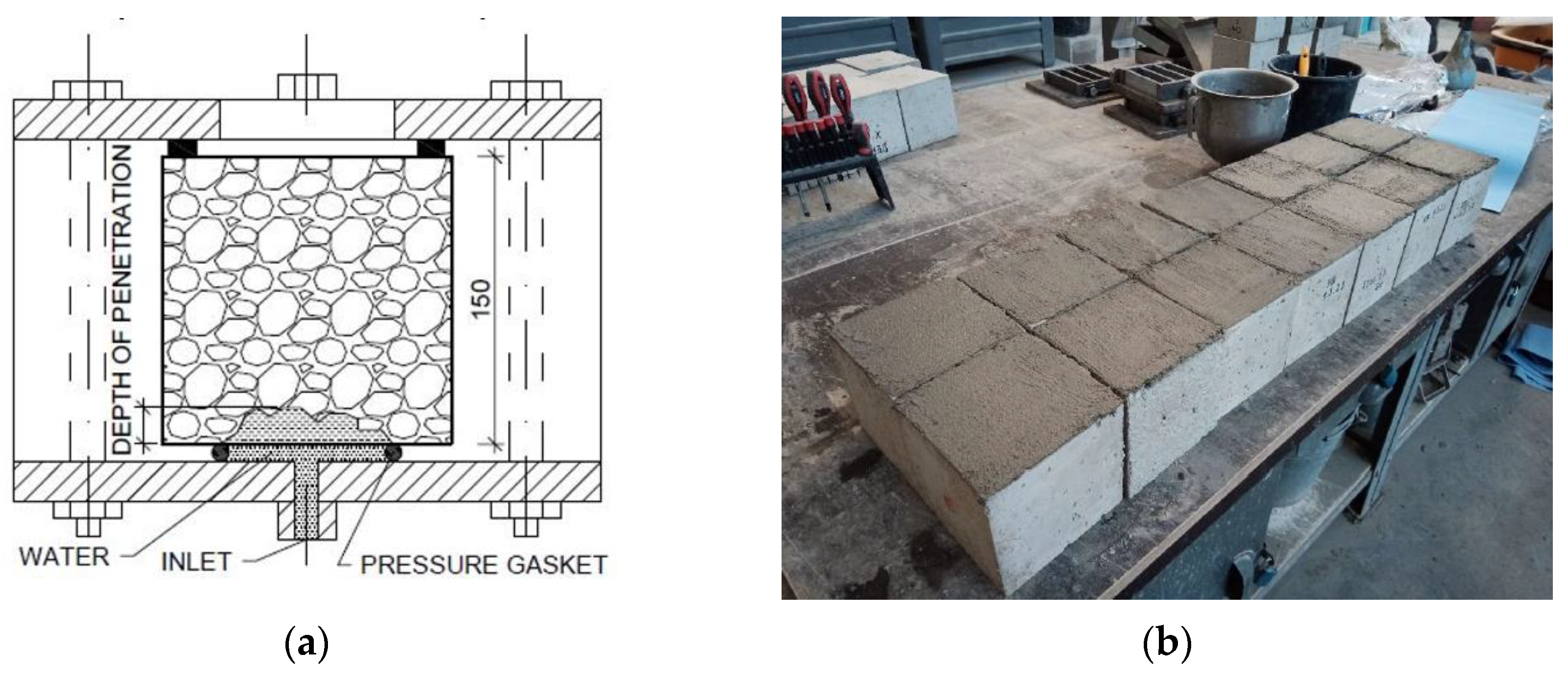 Coatings 15 00163 g001