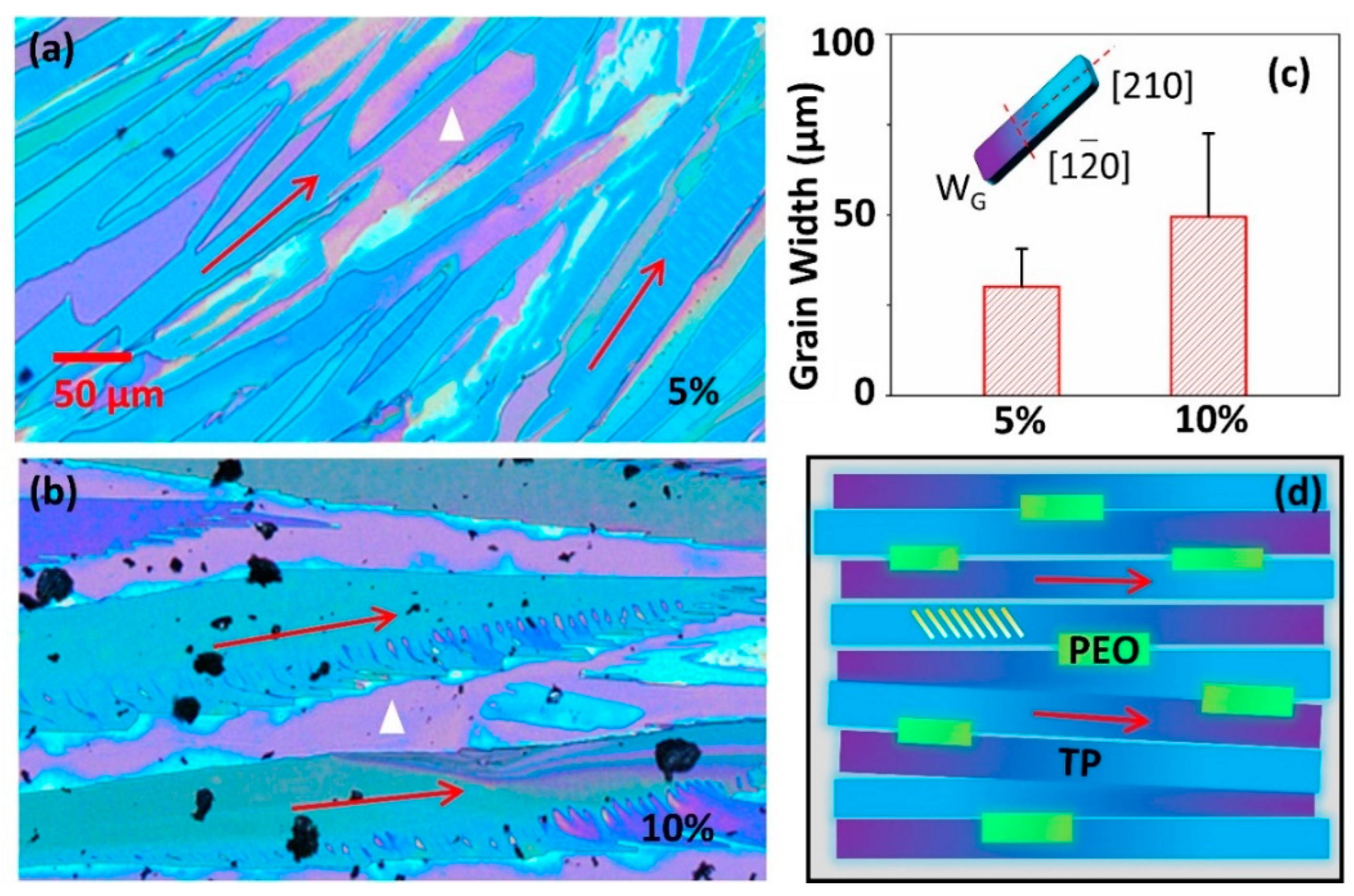 Coatings 15 00164 g001