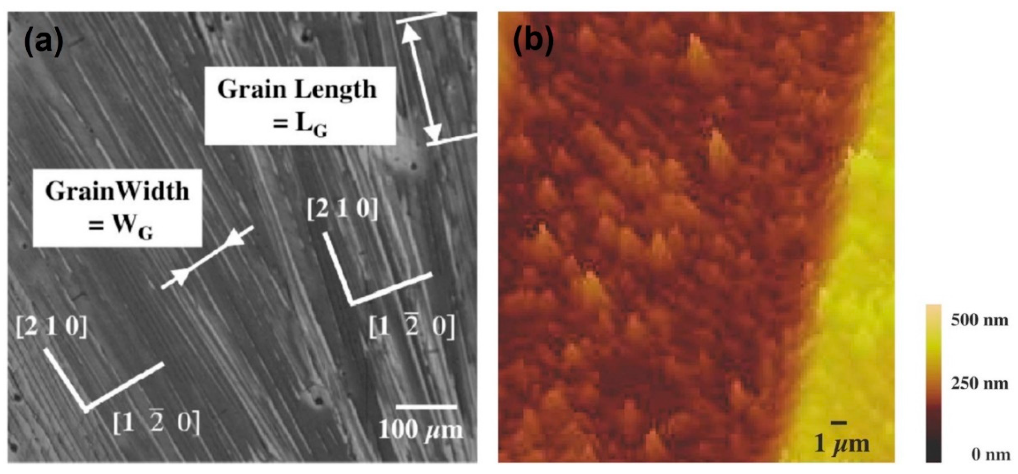 Coatings 15 00164 g004