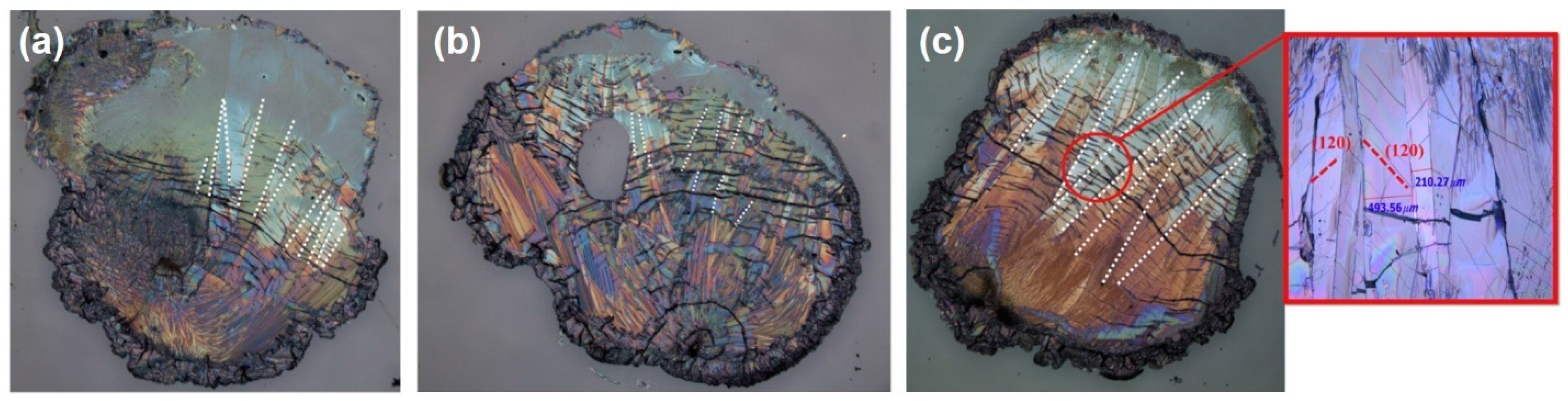 Coatings 15 00164 g005