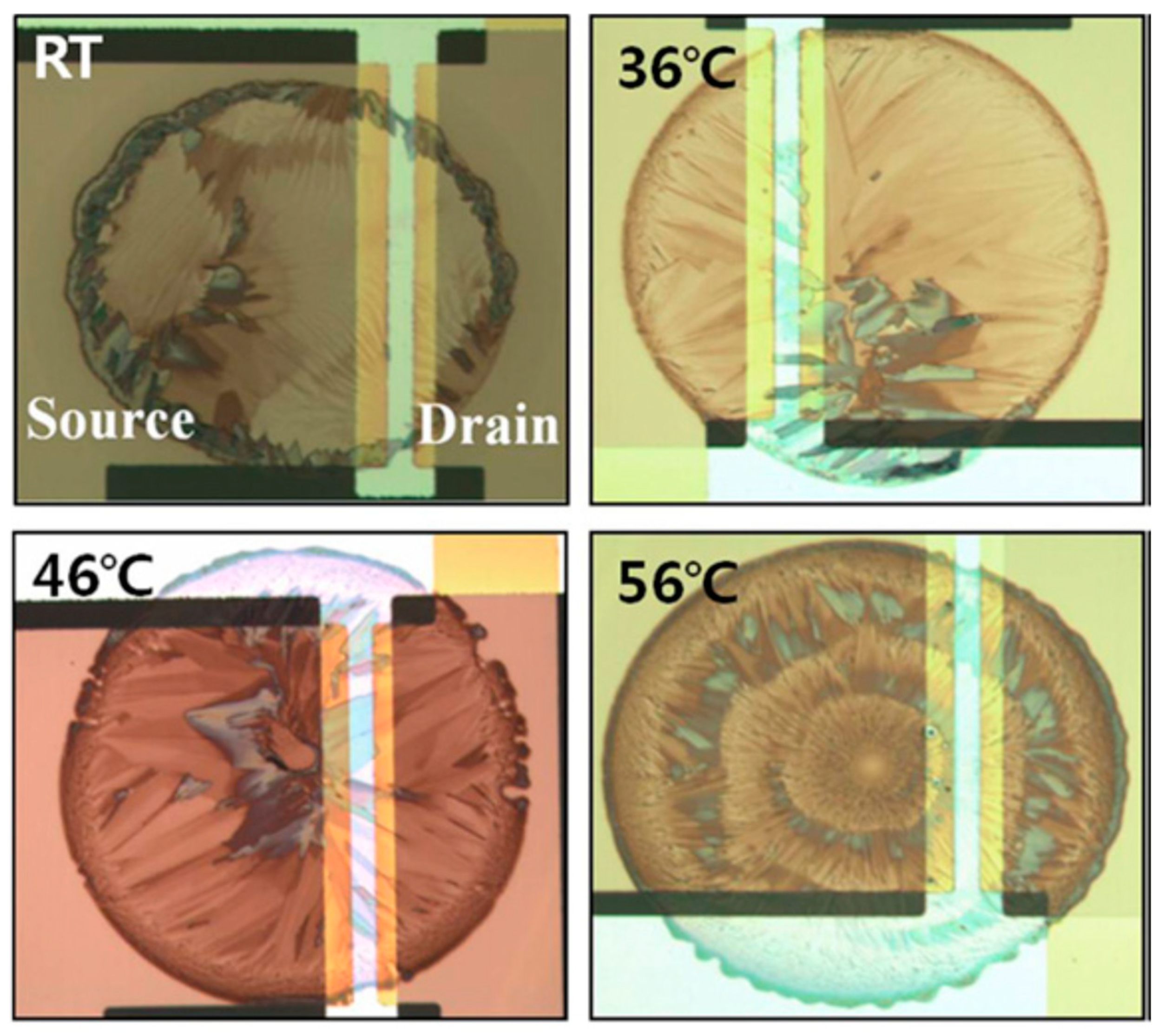 Coatings 15 00164 g006