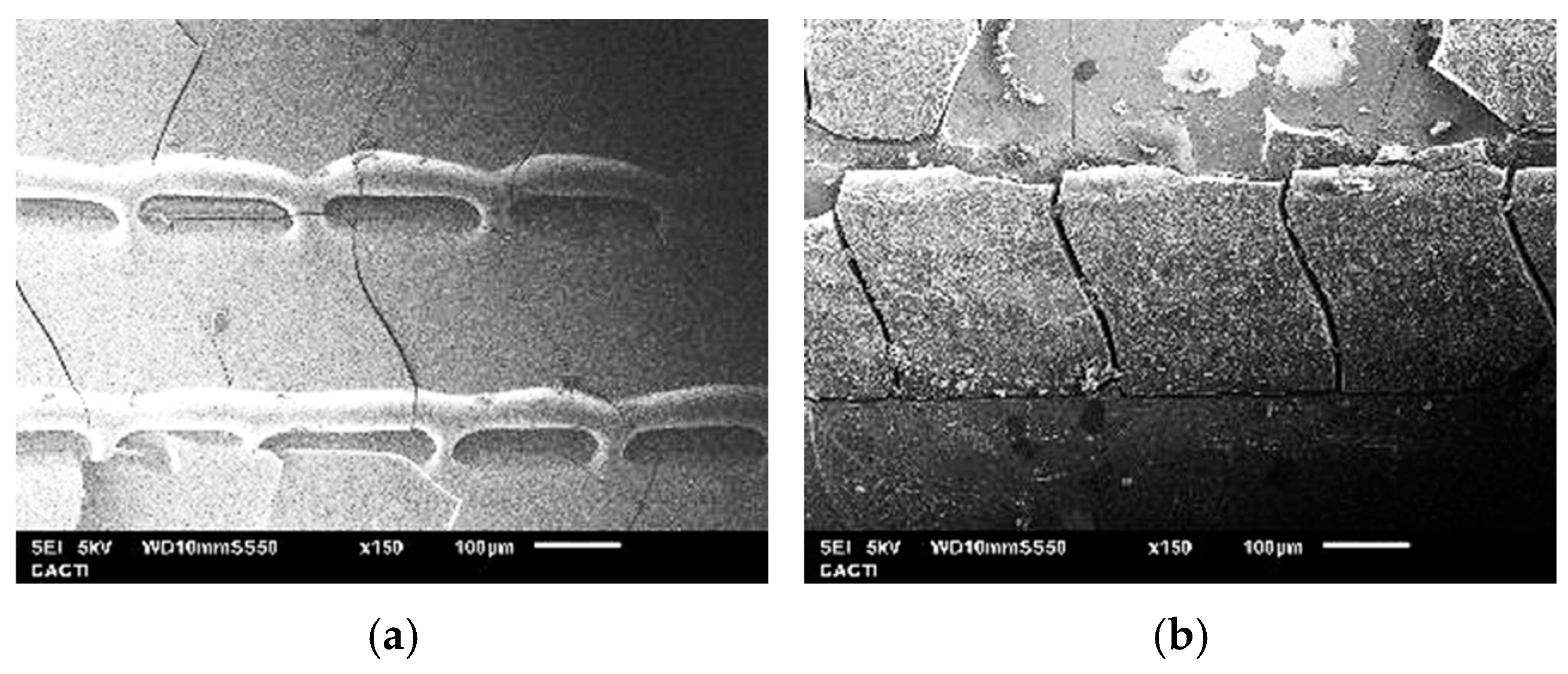 Coatings 15 00195 g010a