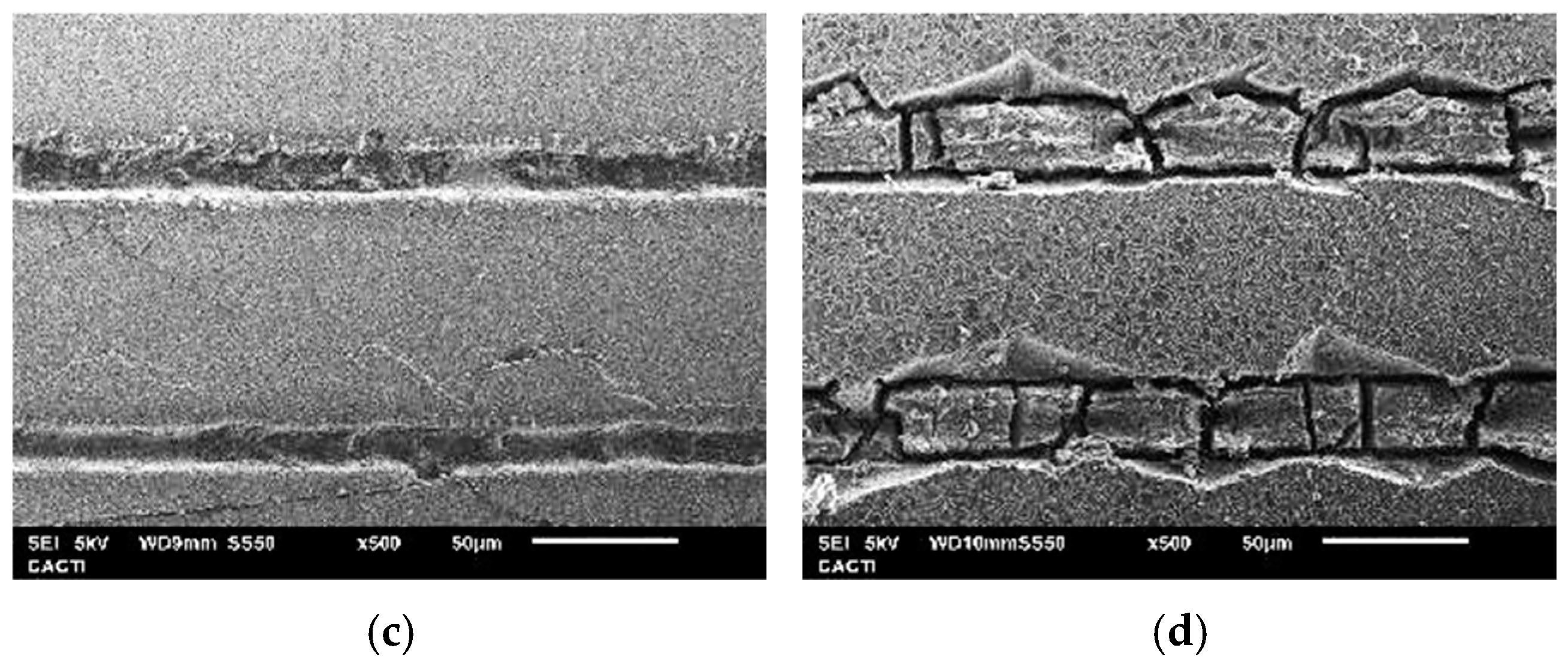 Coatings 15 00195 g010b