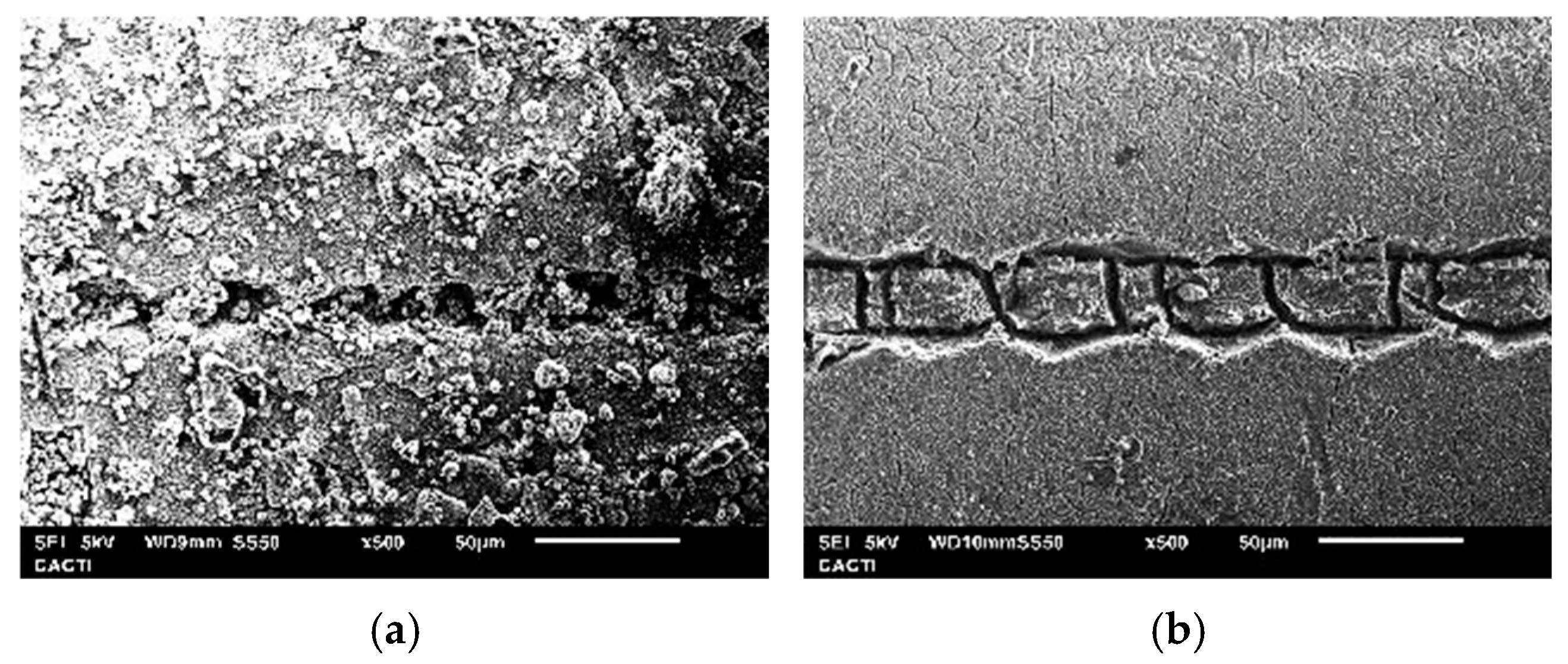 Coatings 15 00195 g011