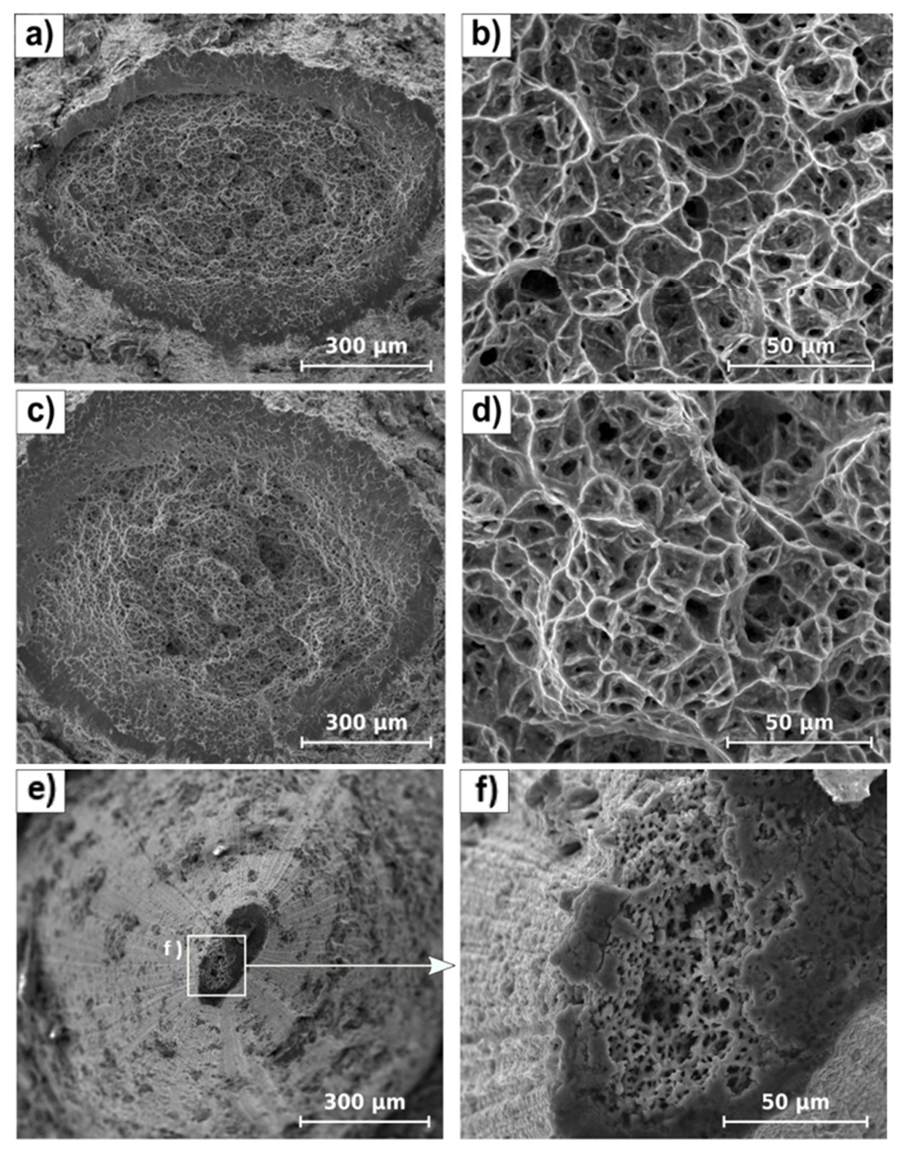Coatings 15 00220 g003