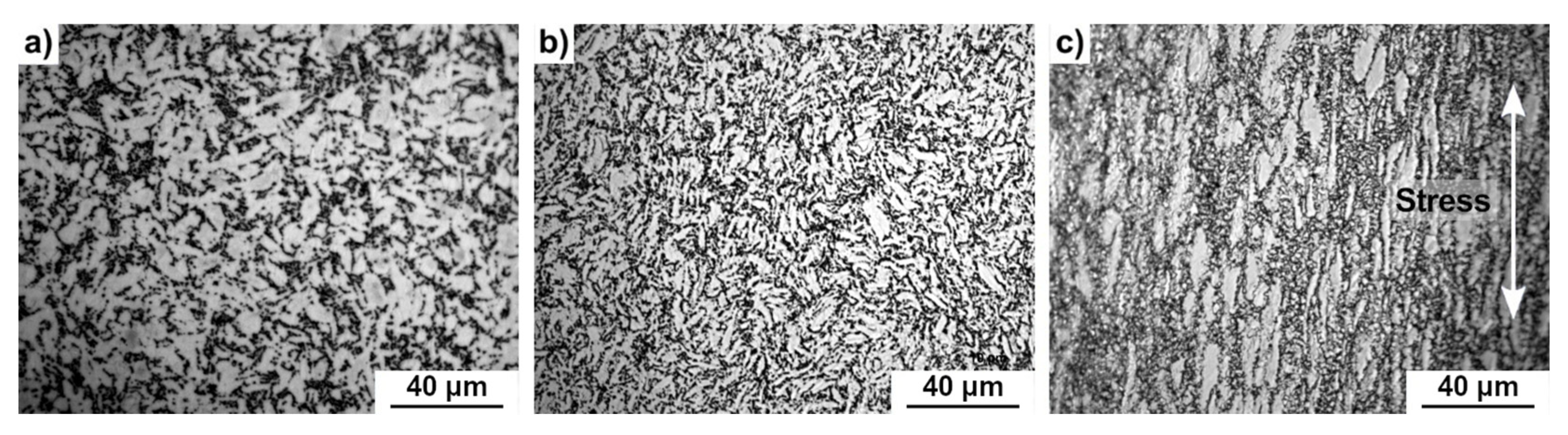 Coatings 15 00220 g004