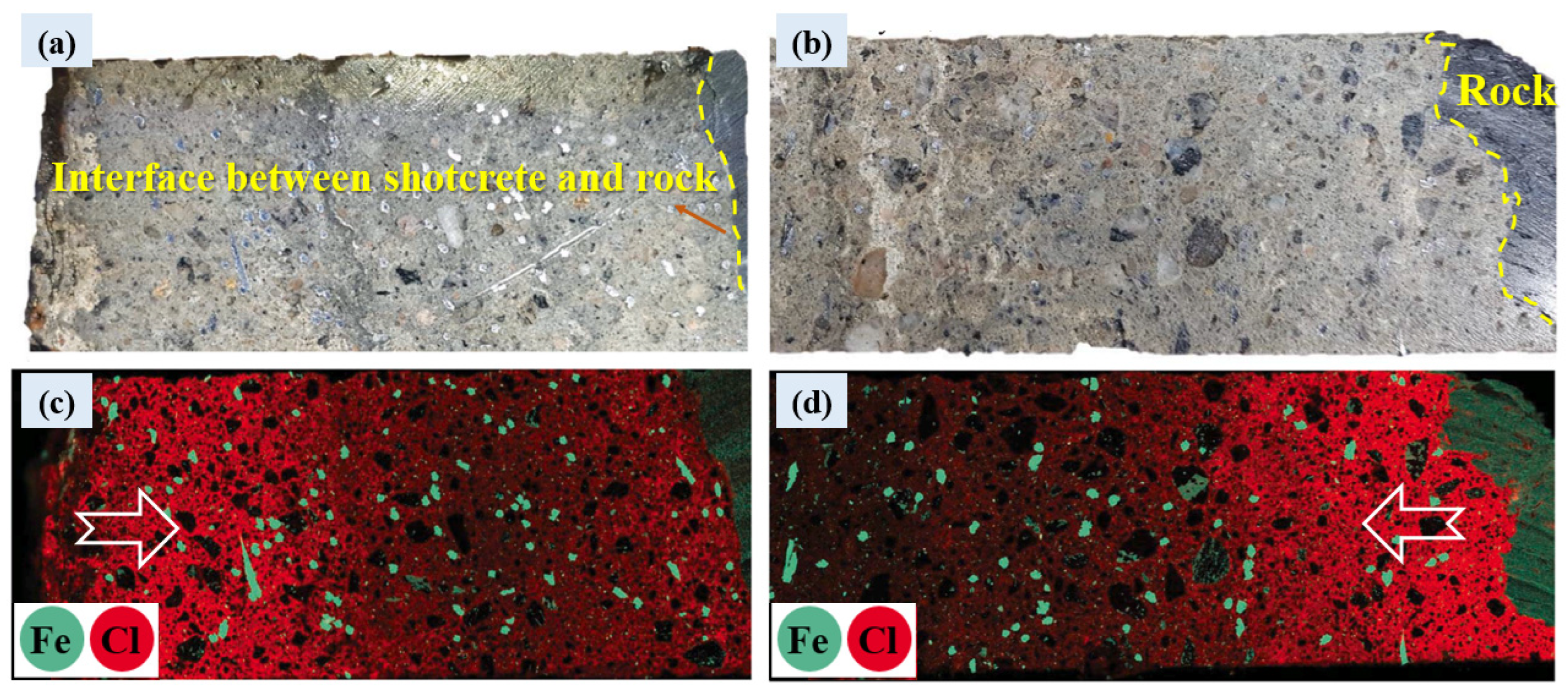 Coatings 15 00235 g007