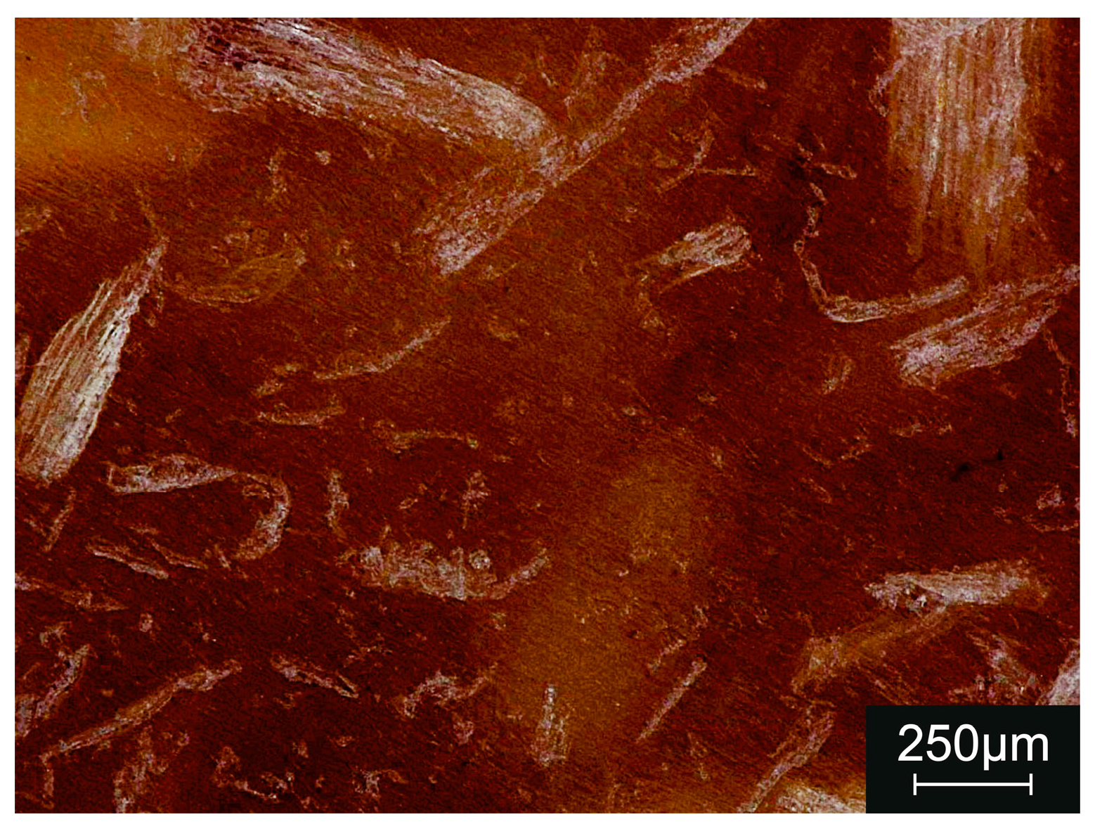 Coatings 15 00246 g006 Coatings 15 00246 g006