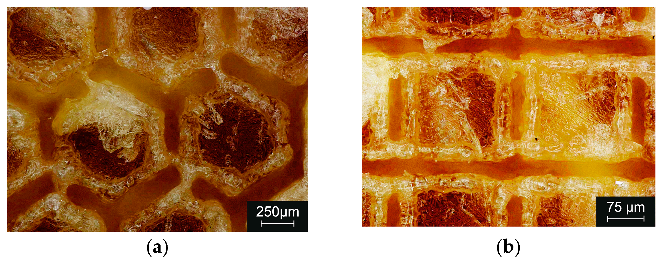 Coatings 15 00246 g007 Coatings 15 00246 g007