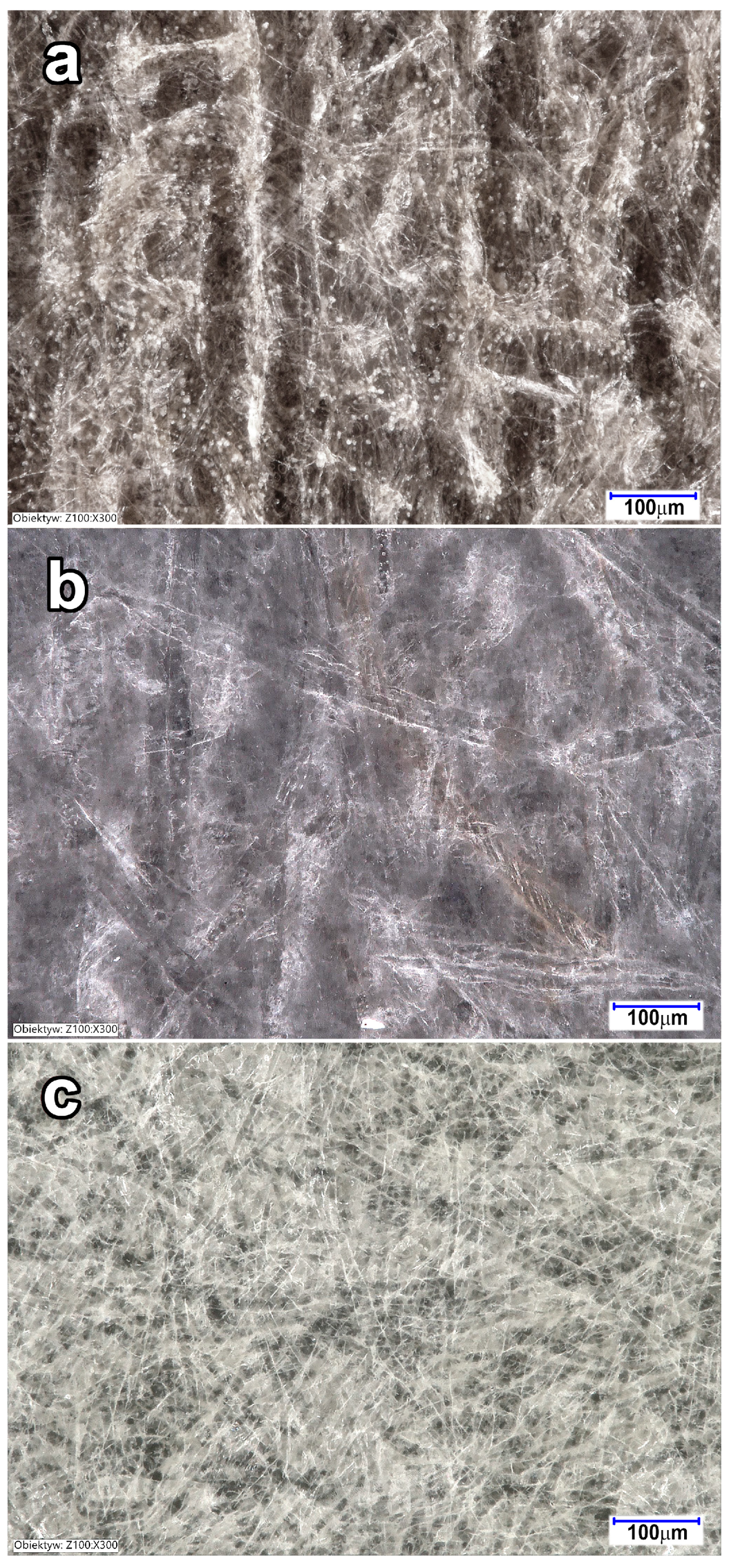 Coatings 15 00270 g001
