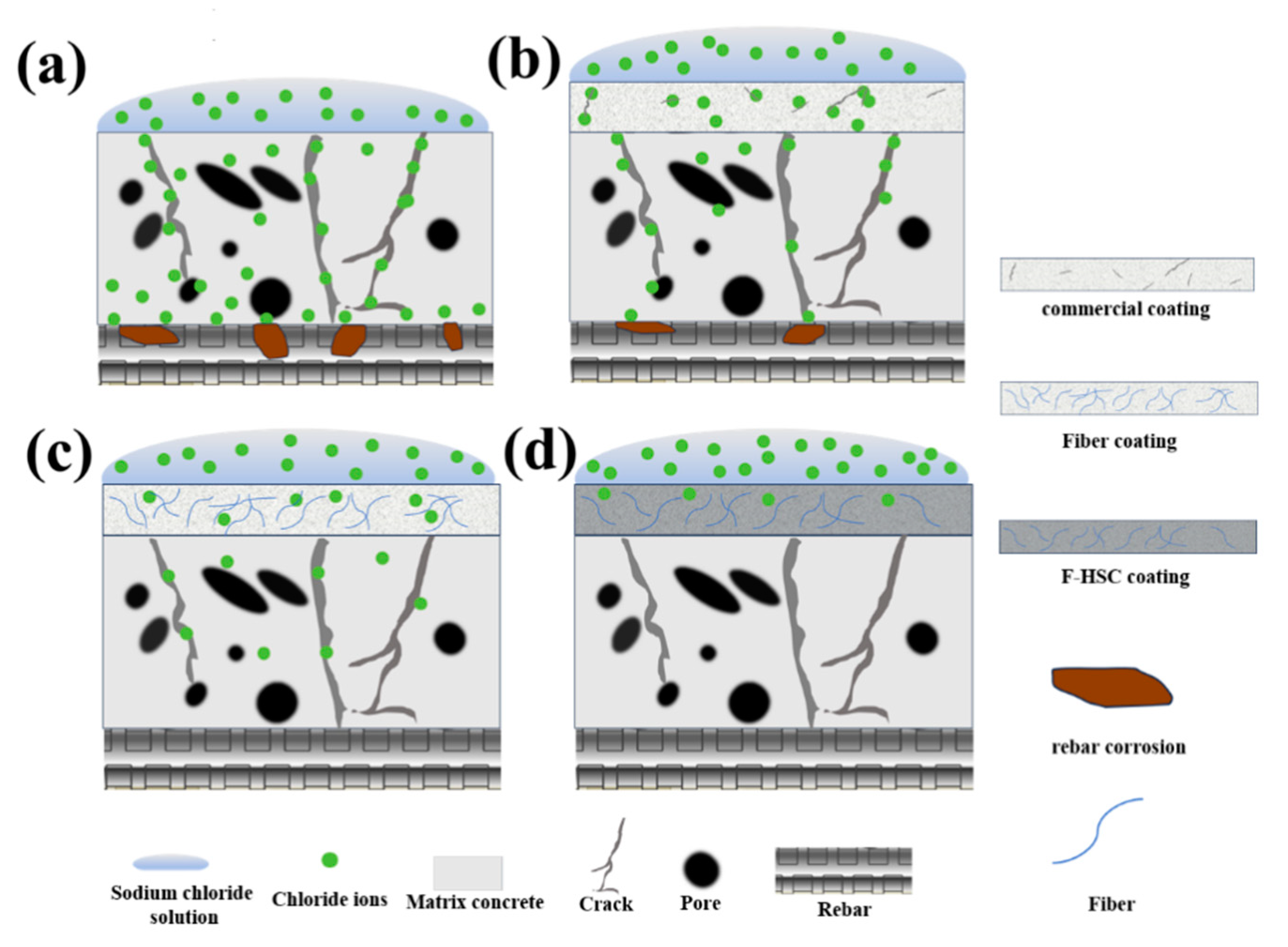 Coatings 15 00277 g014