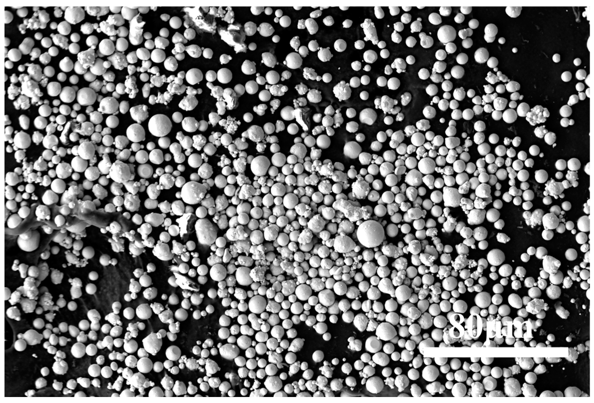 Coatings 15 00290 g001