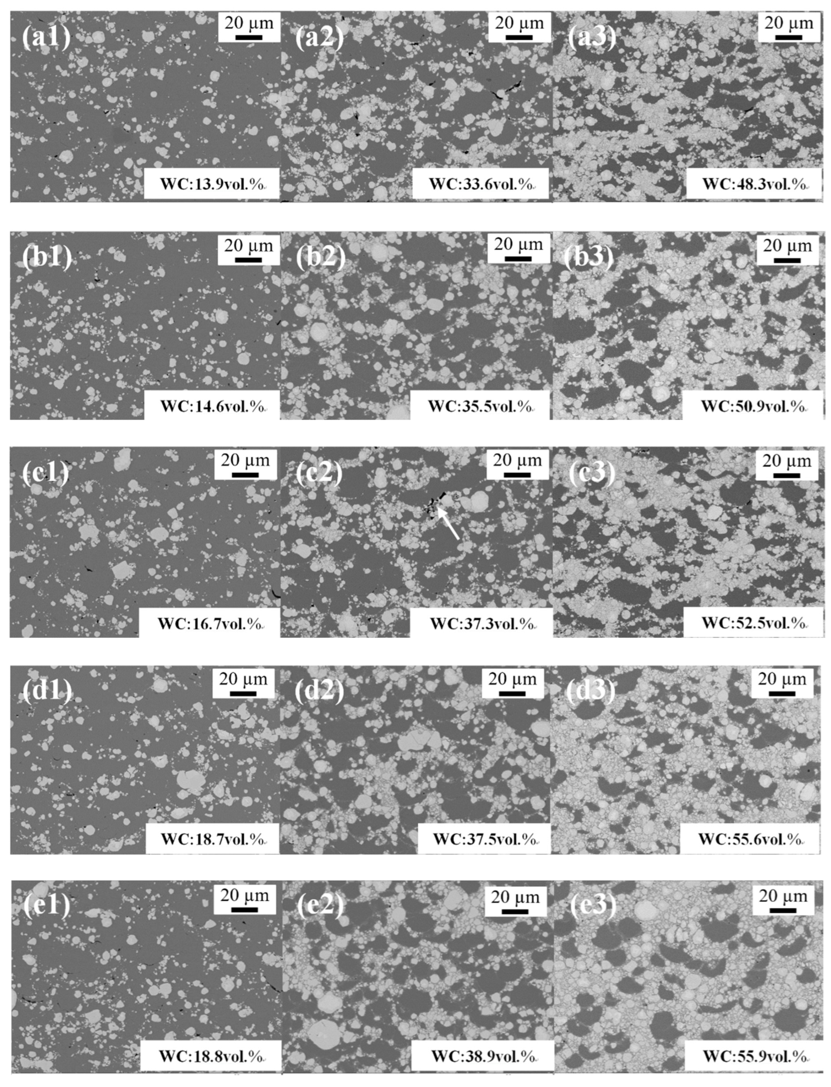 Coatings 15 00295 g011