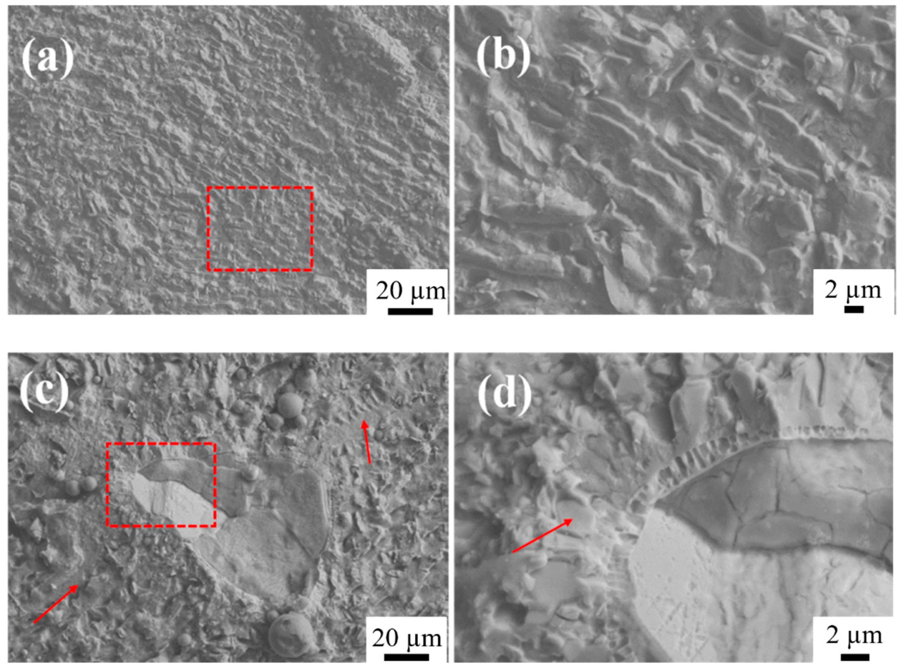 Coatings 15 00295 g014