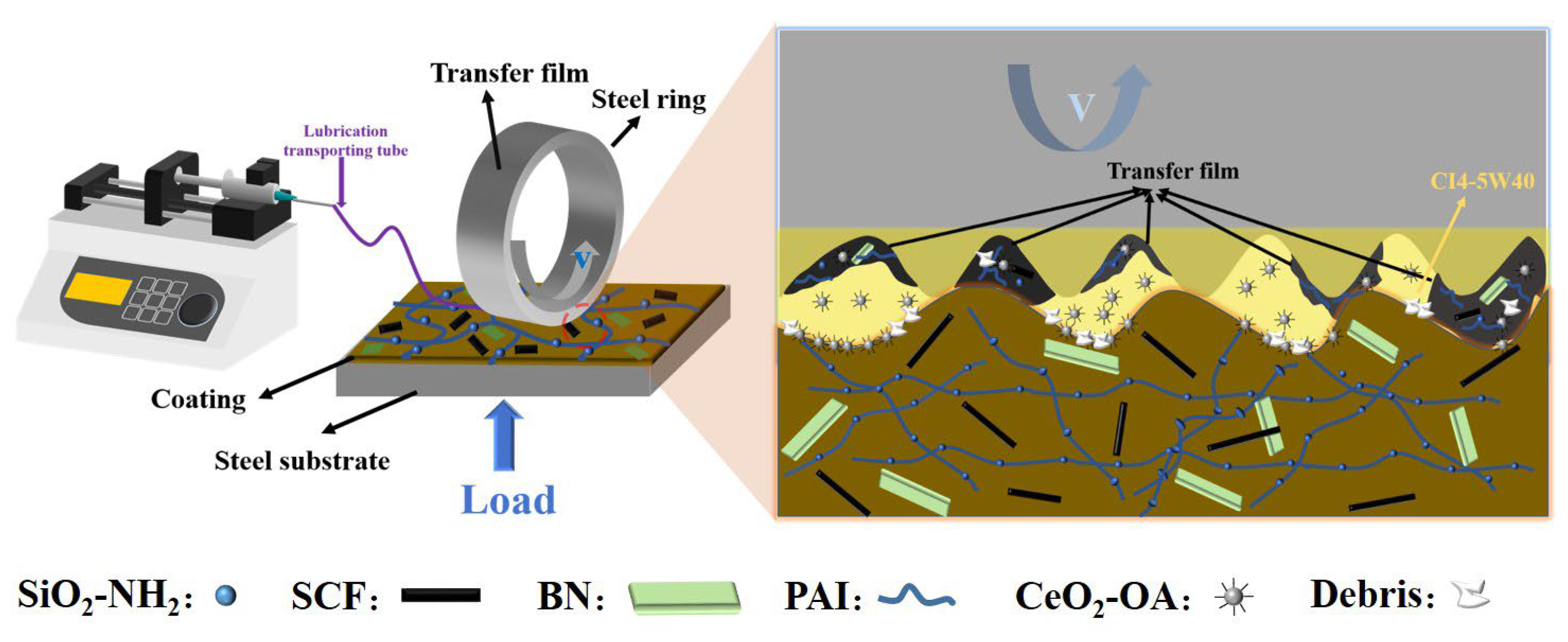 Coatings 15 00338 g010