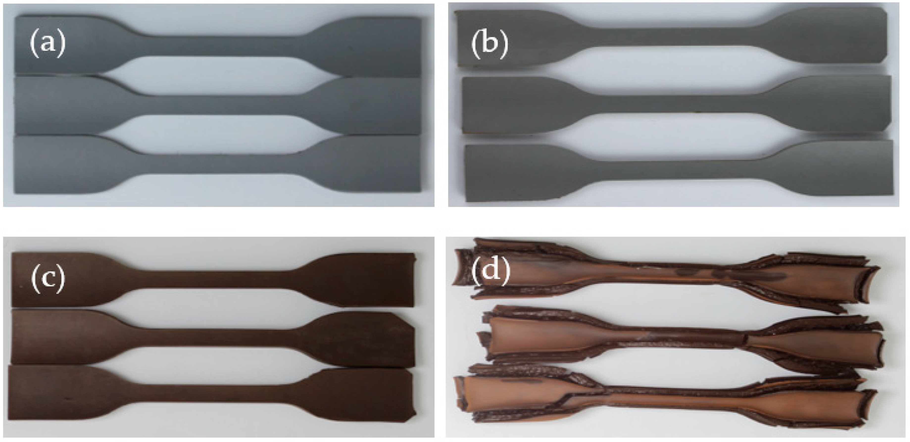Coatings 15 00360 g001