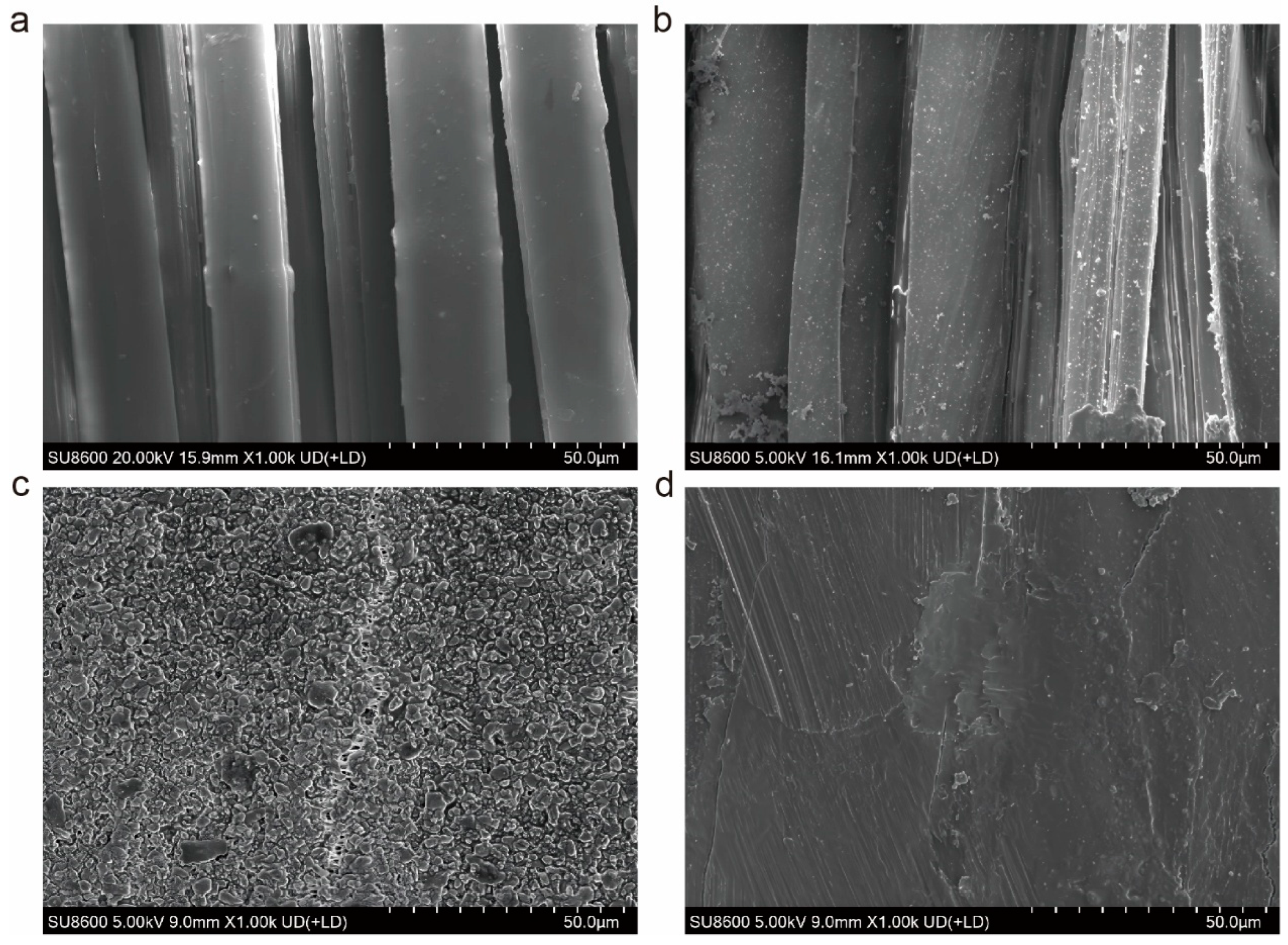Coatings 15 00366 g003