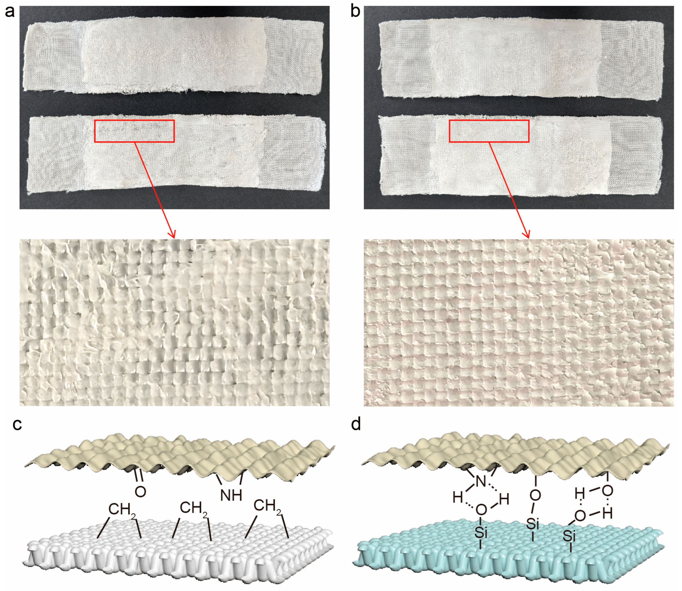 Coatings 15 00366 g011