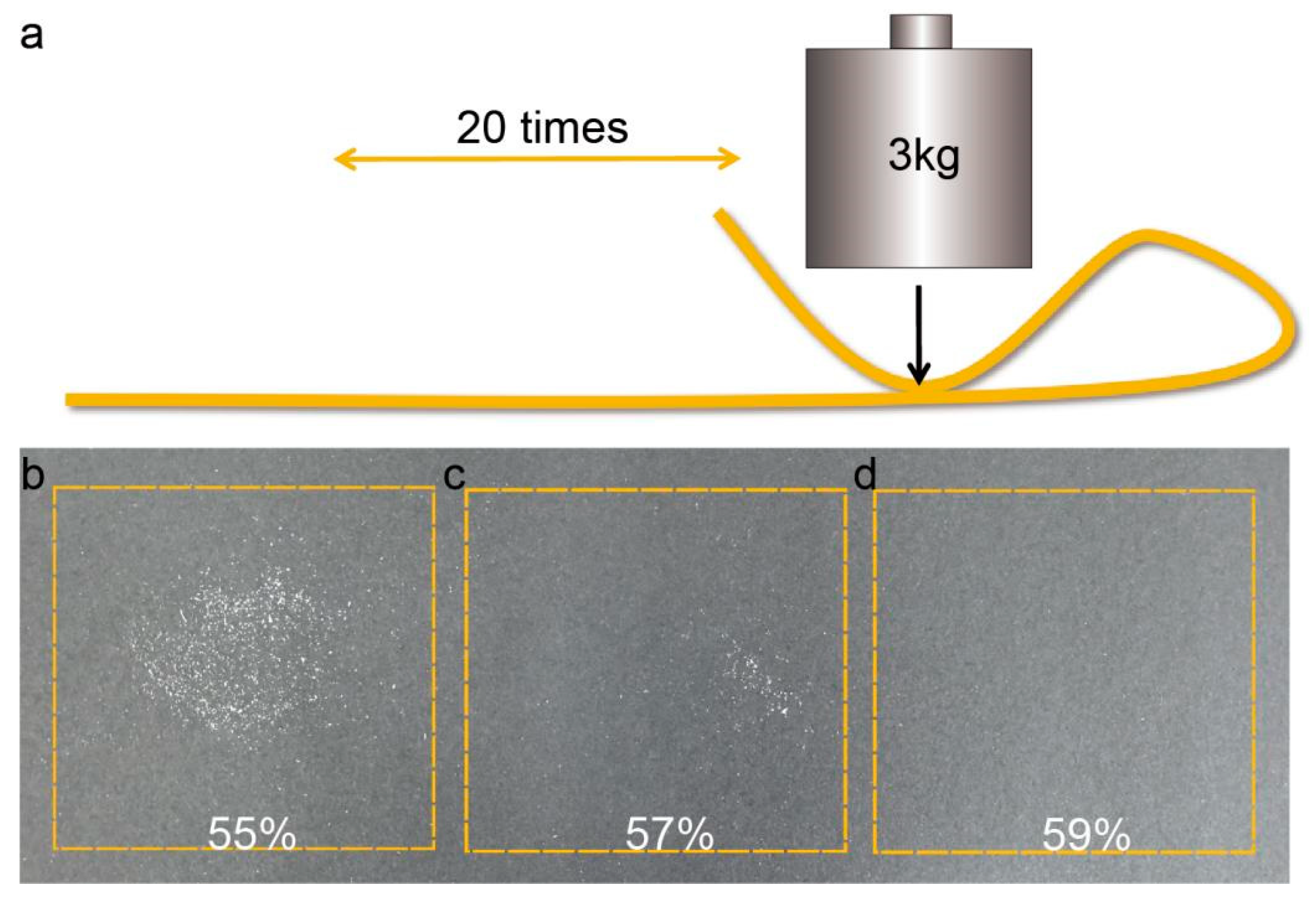 Coatings 15 00366 g012