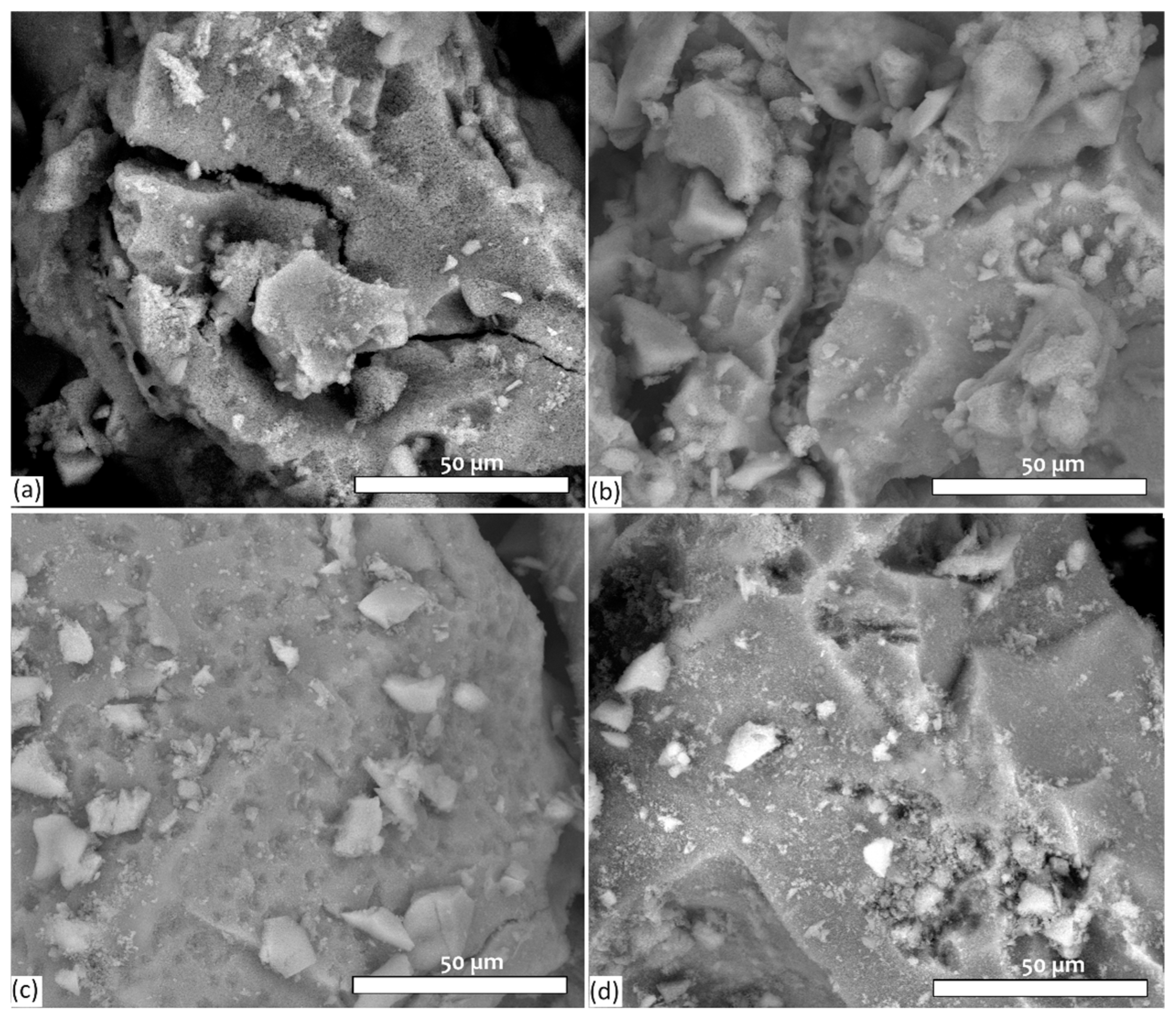 Coatings 15 00404 g004