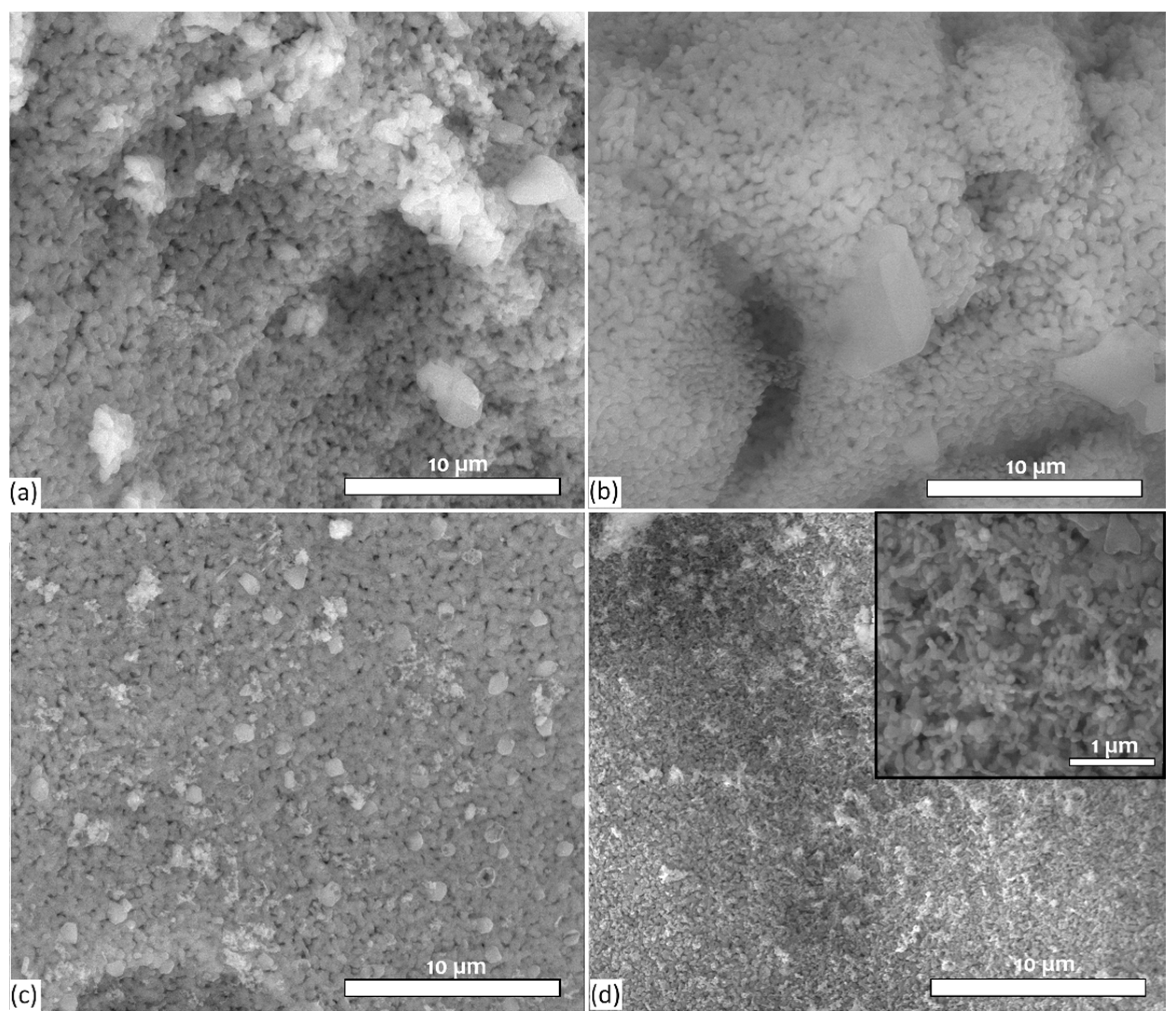 Coatings 15 00404 g005