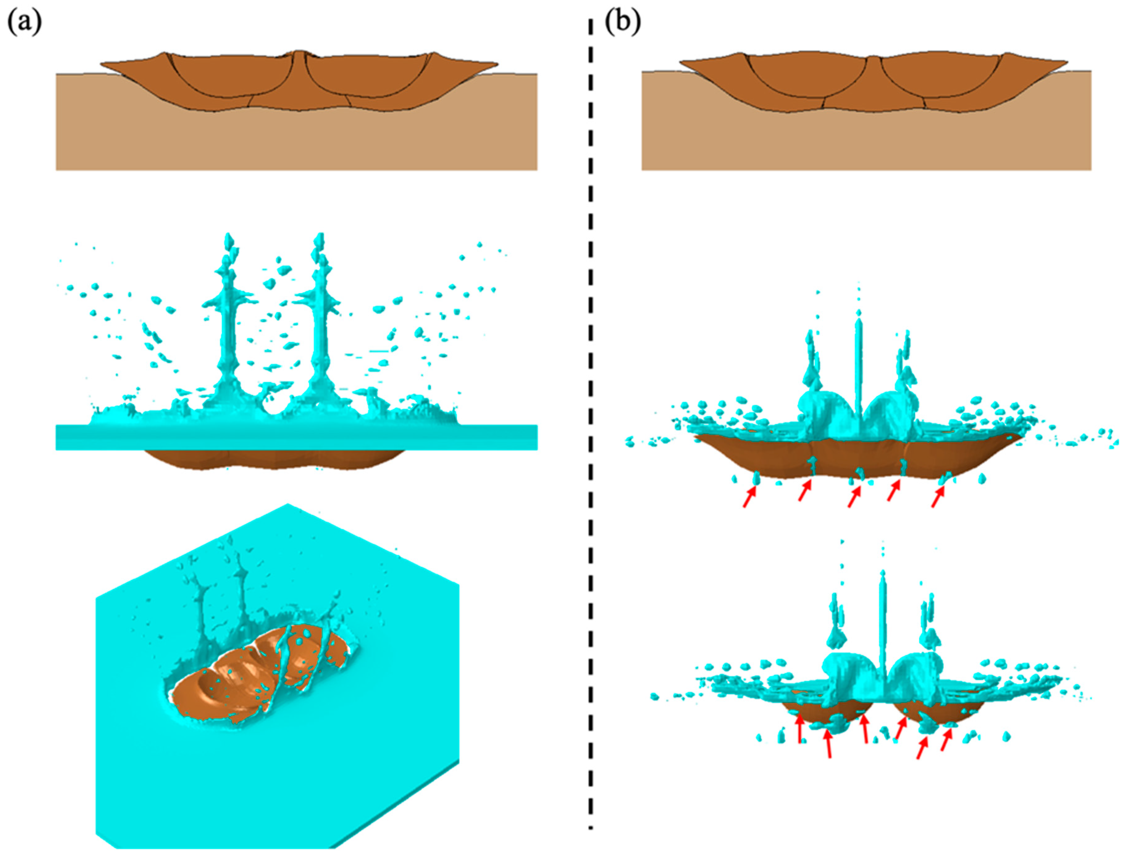 Coatings 15 00405 g011