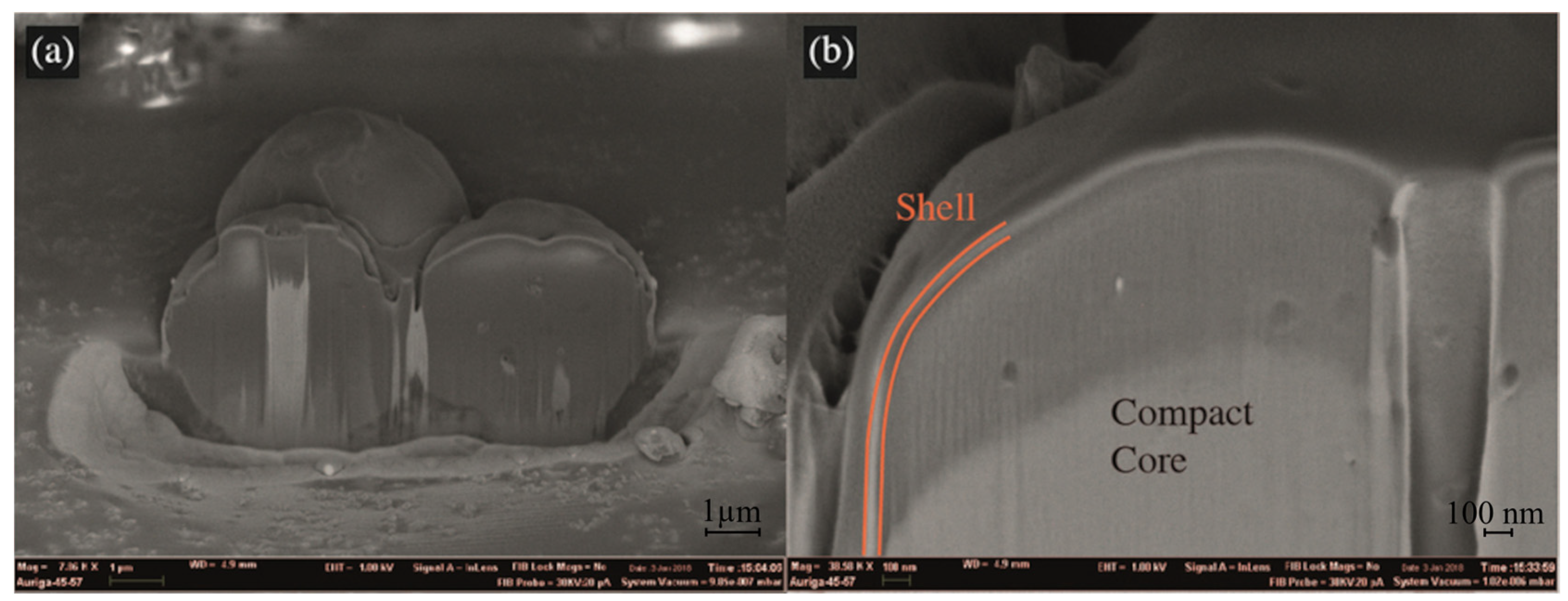 Coatings 15 00419 g003