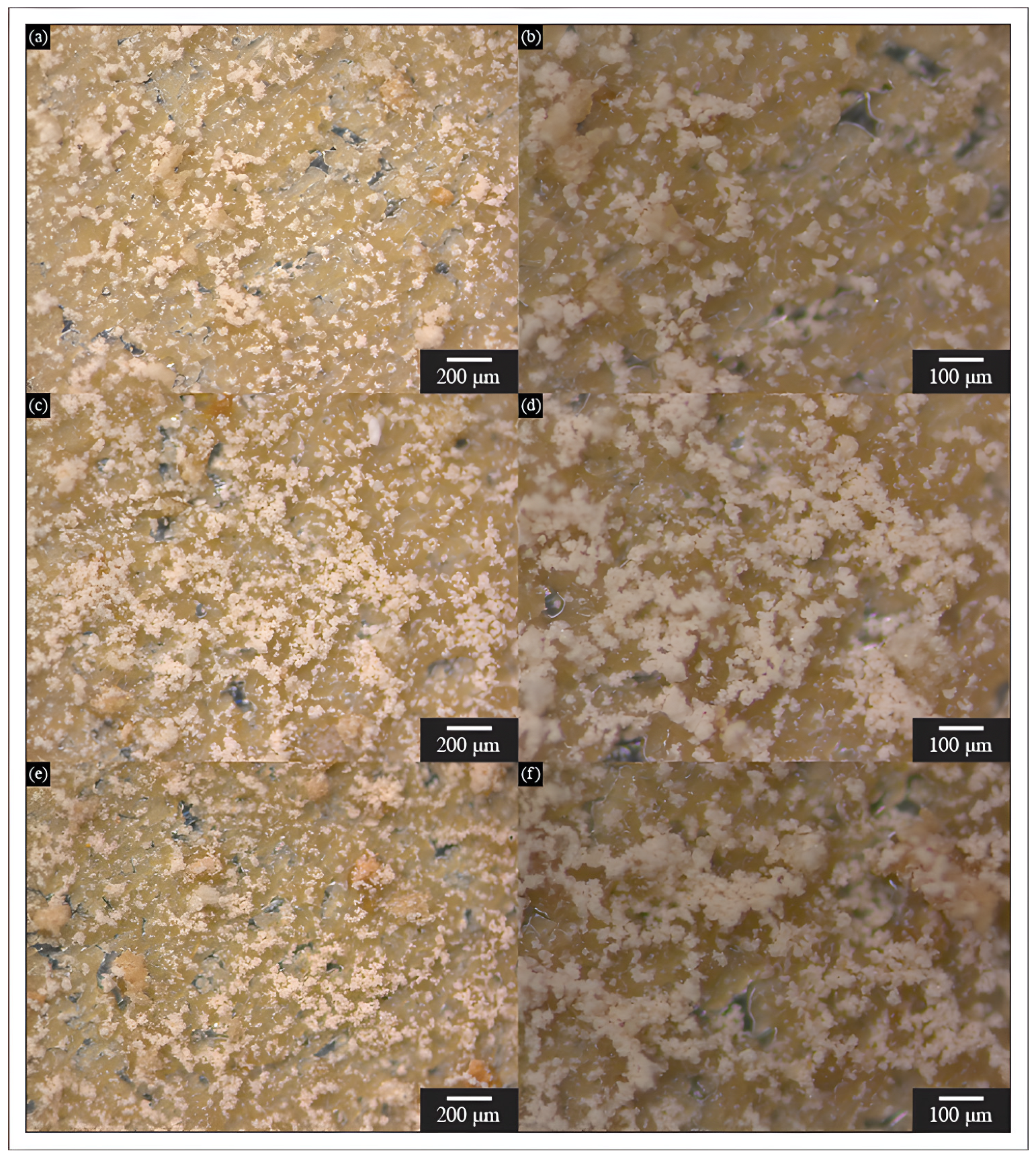 Coatings 15 00419 g006