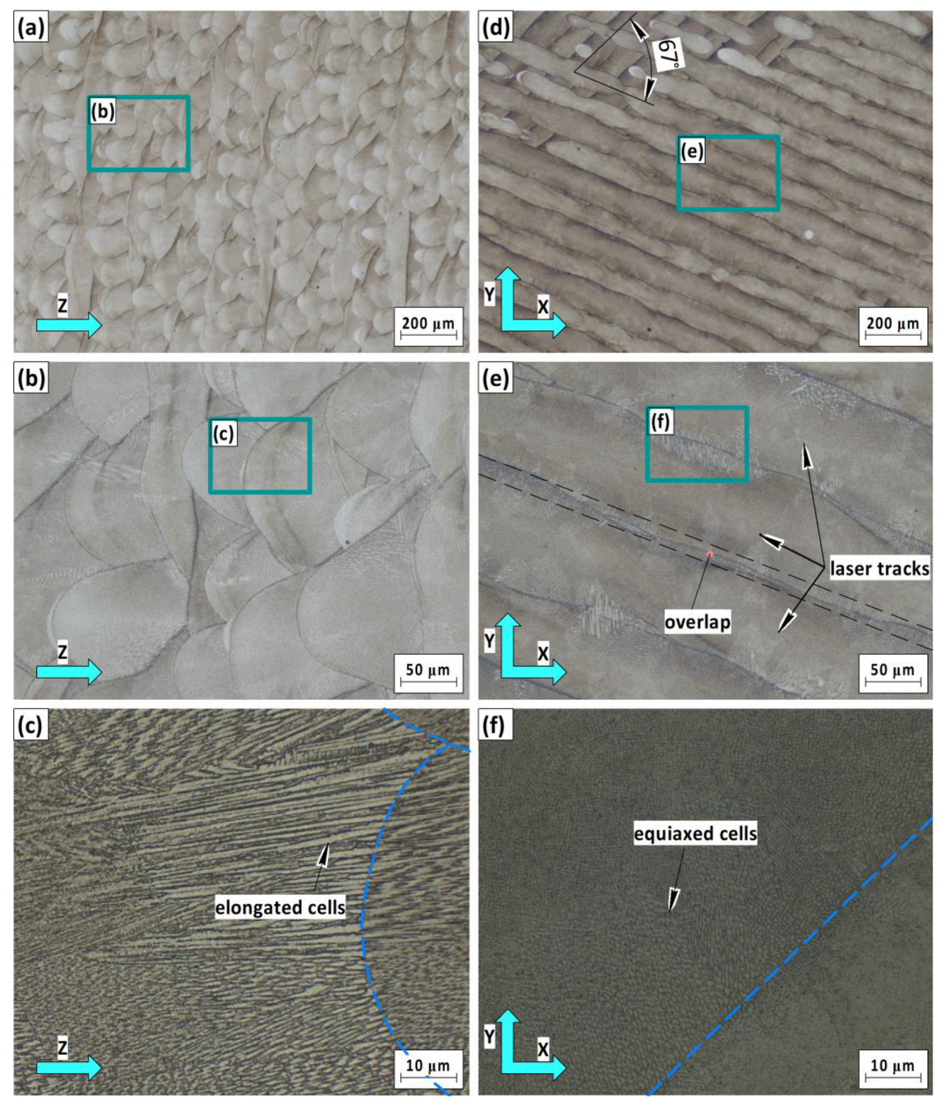 Coatings 15 00425 g004