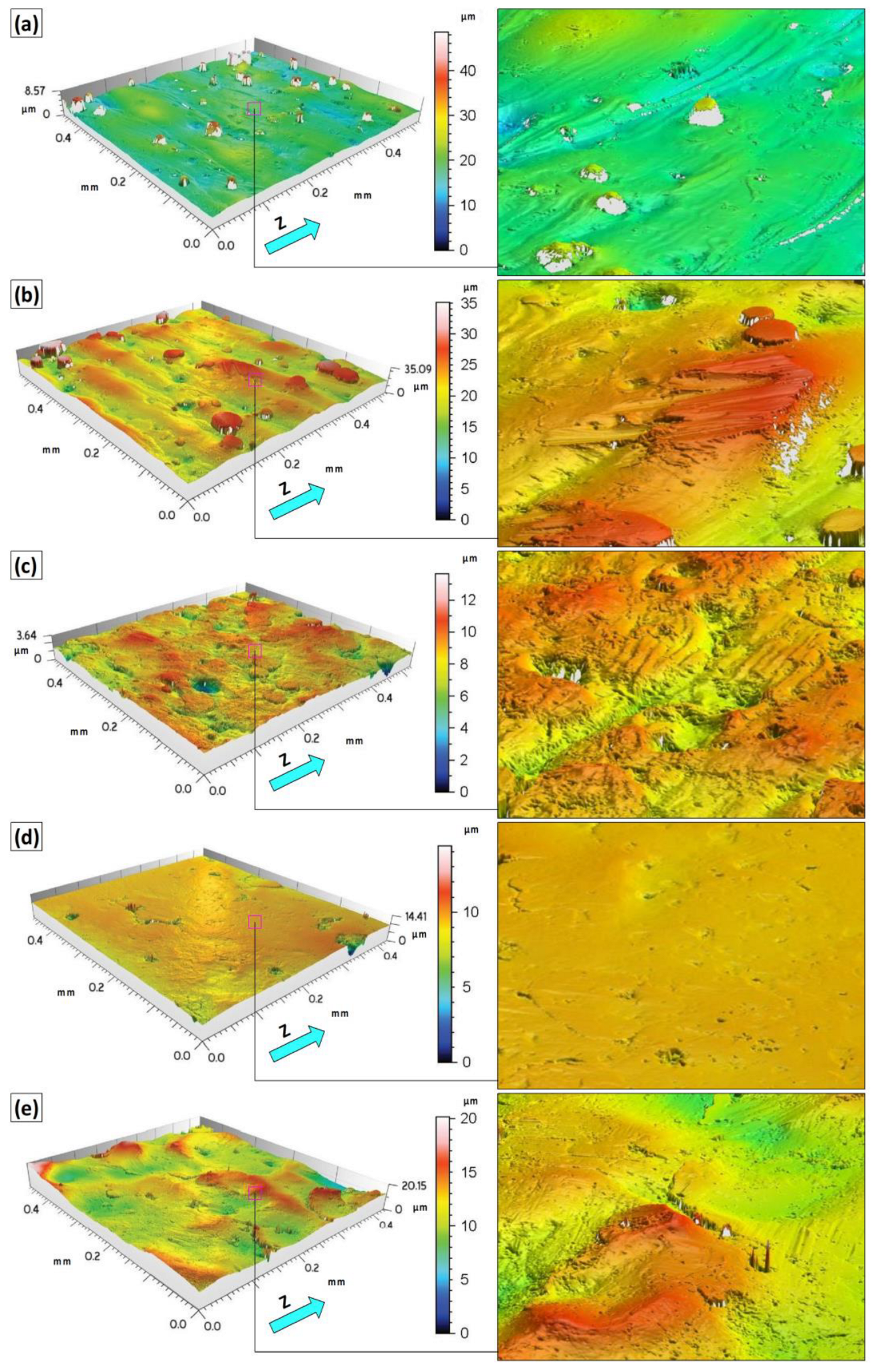 Coatings 15 00425 g009