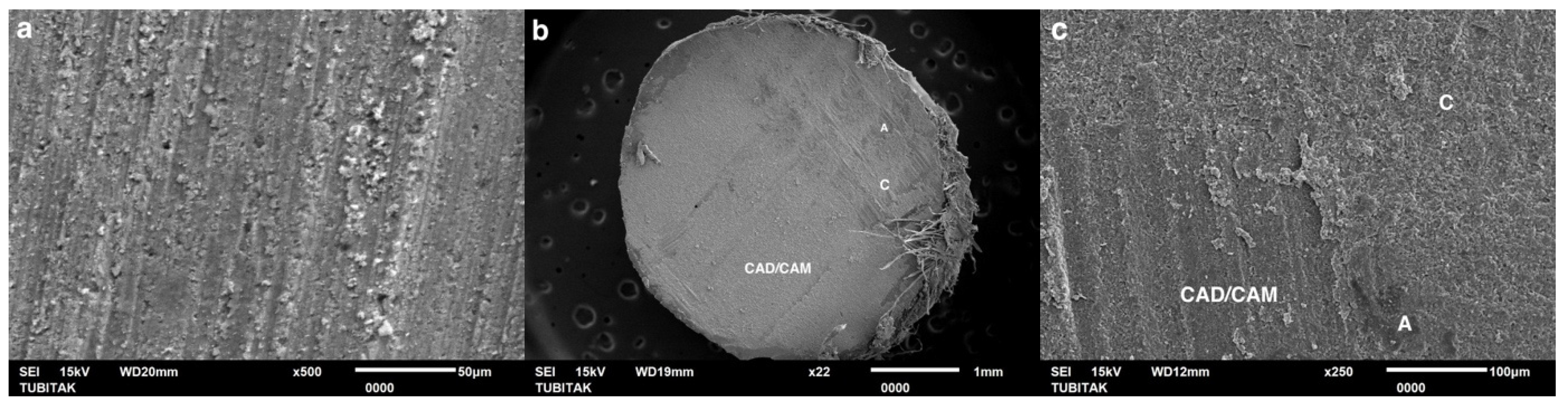 Coatings 15 00432 g006