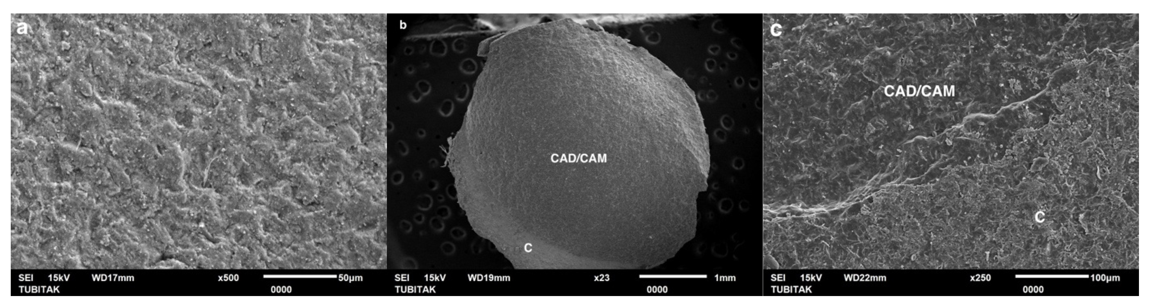 Coatings 15 00432 g009