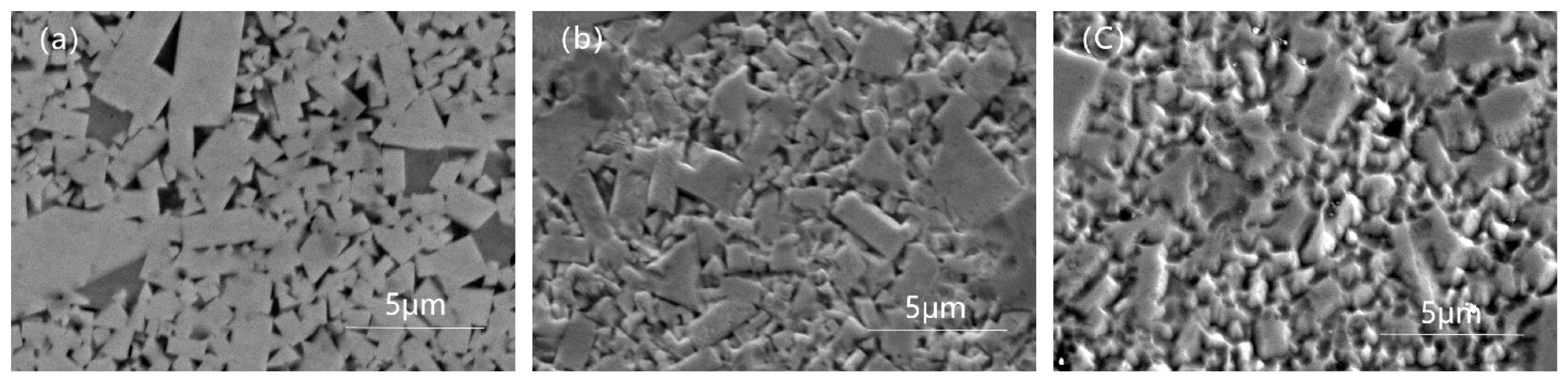 Coatings 15 00434 g008