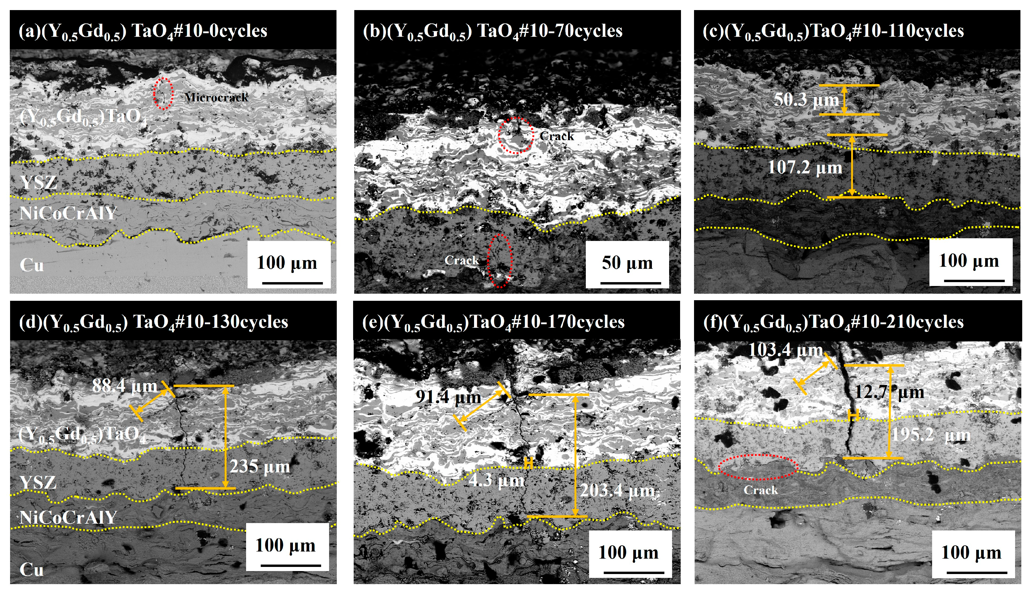 Coatings 15 00451 g011