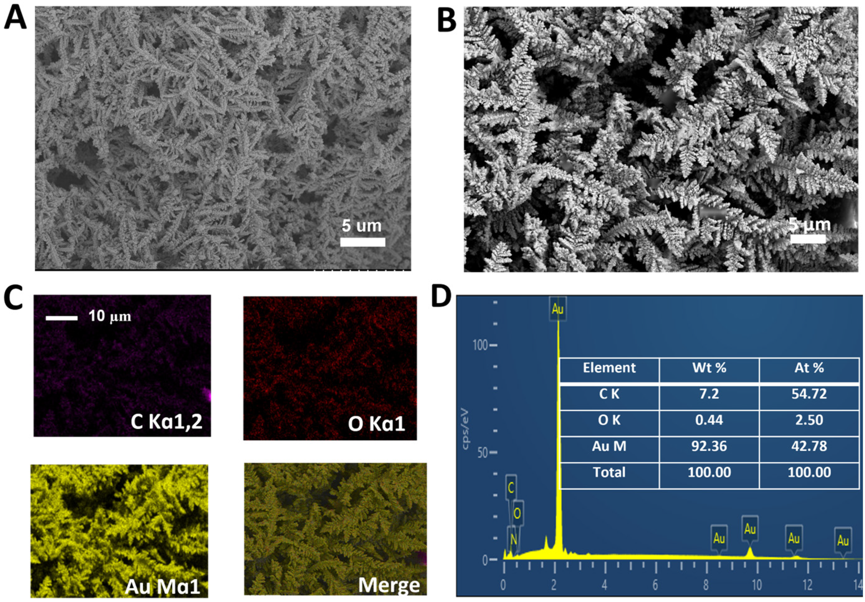 Coatings 15 00458 g001