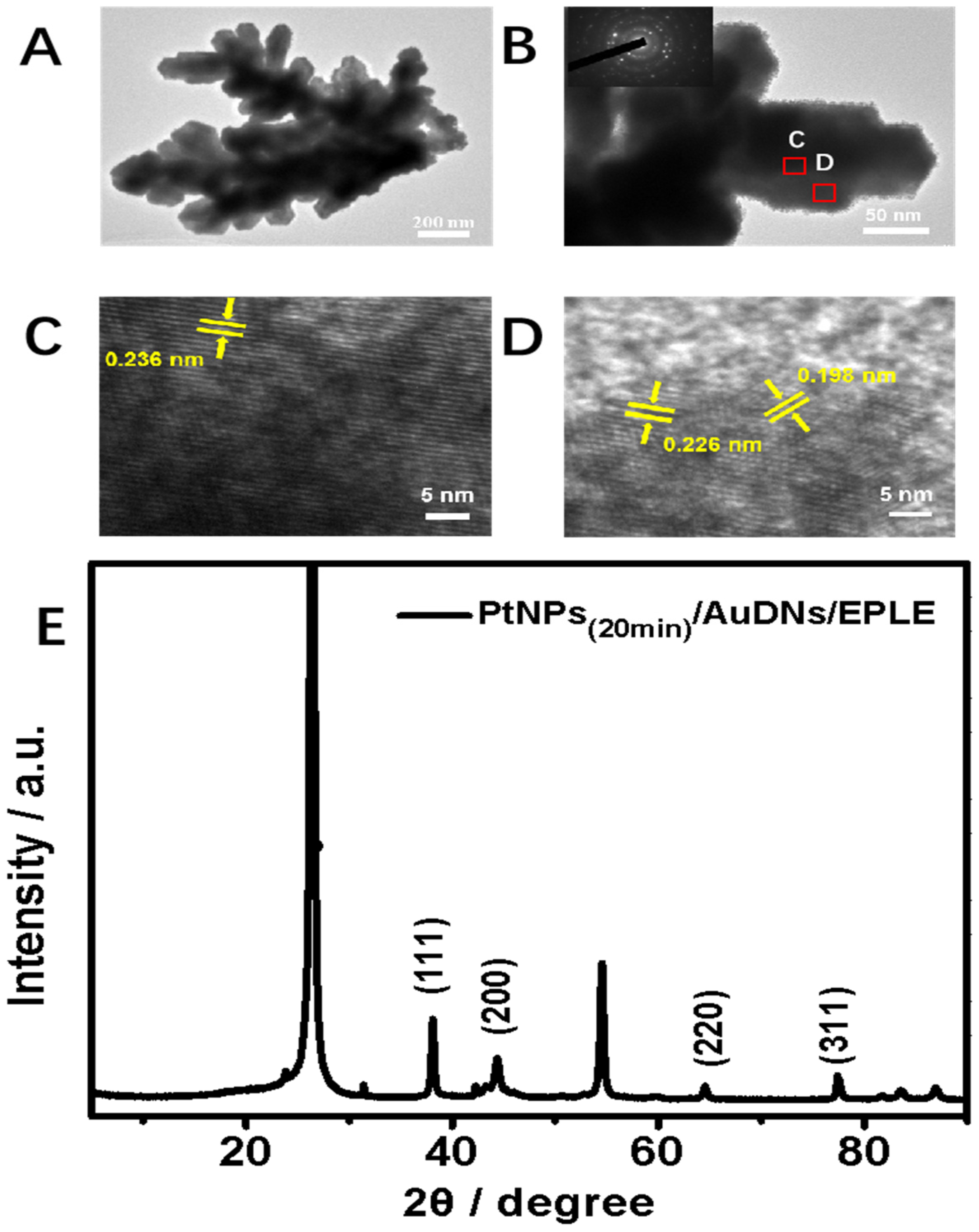 Coatings 15 00458 g004