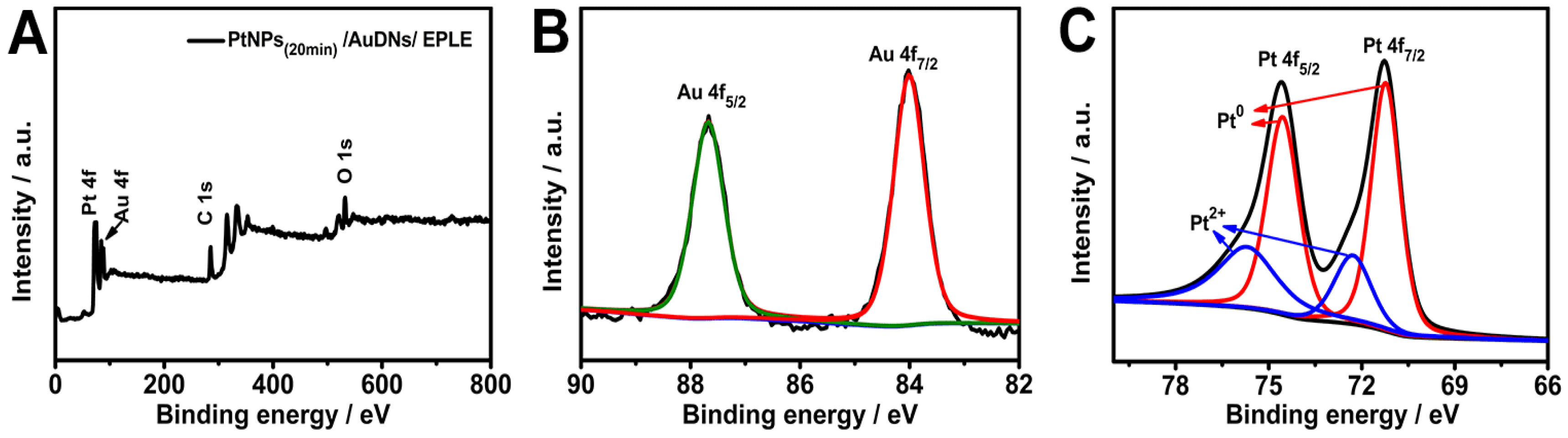 Coatings 15 00458 g005
