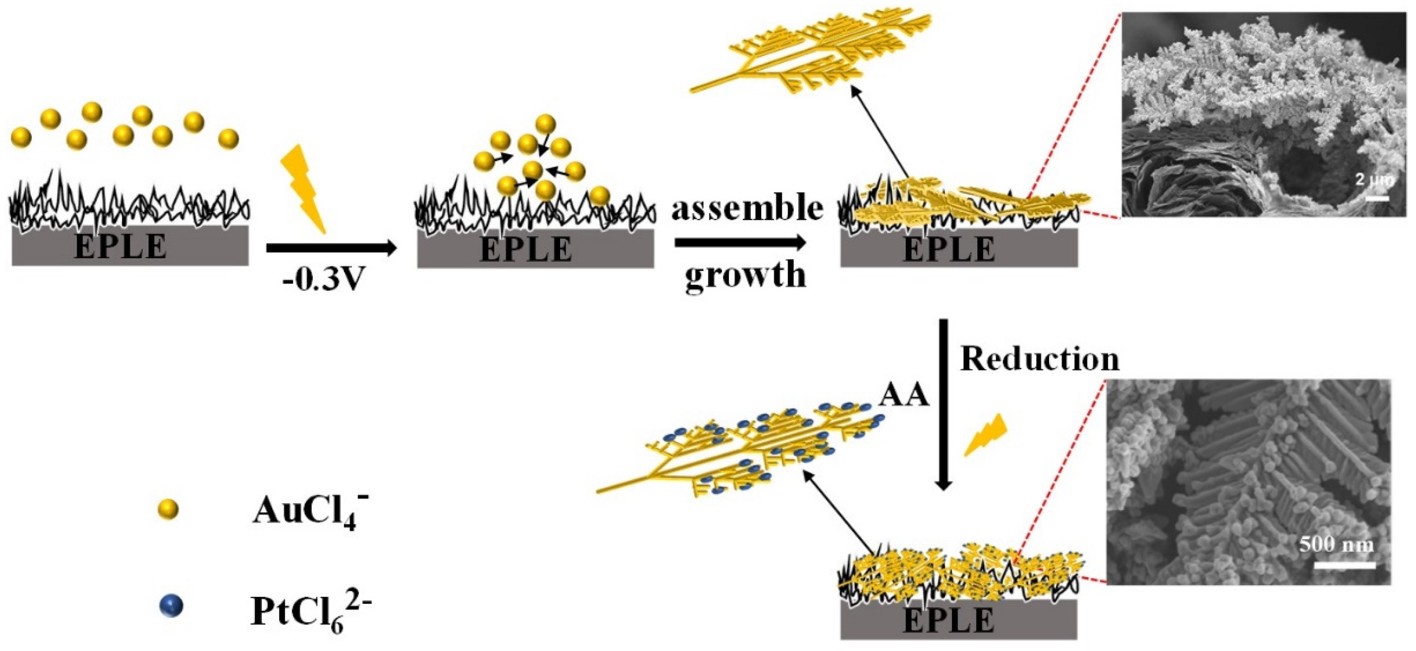 Coatings 15 00458 g007