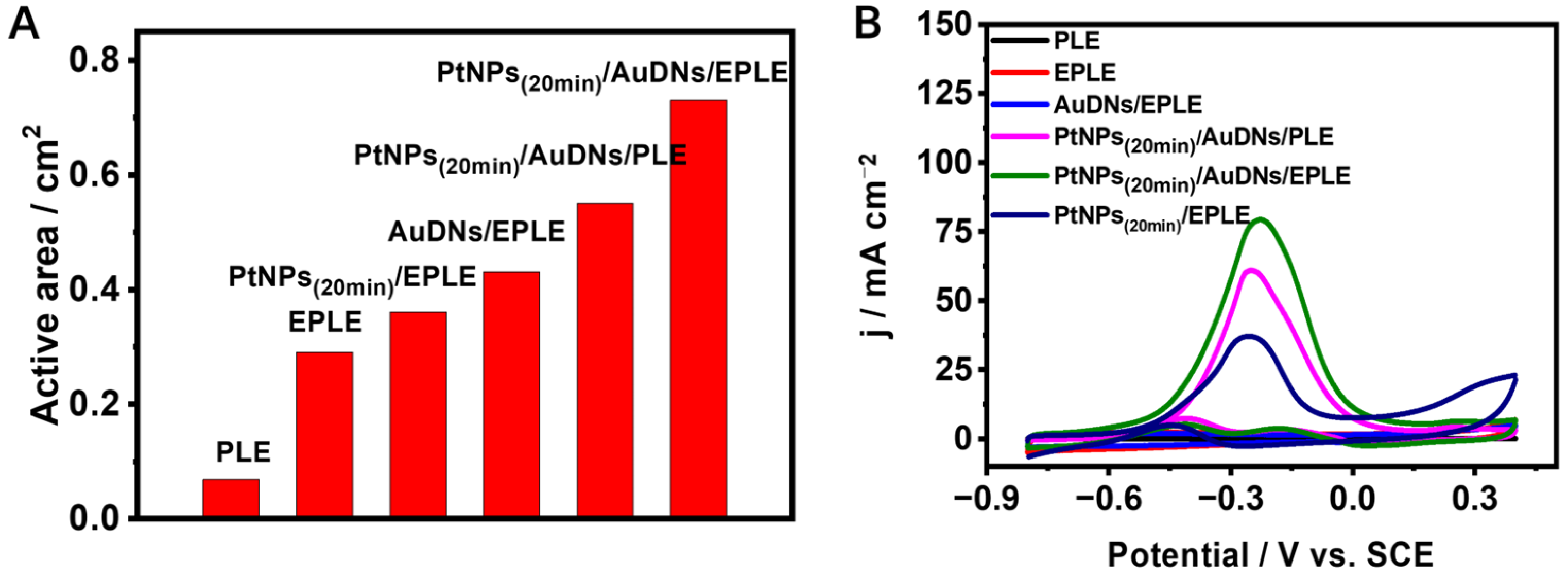 Coatings 15 00458 g008