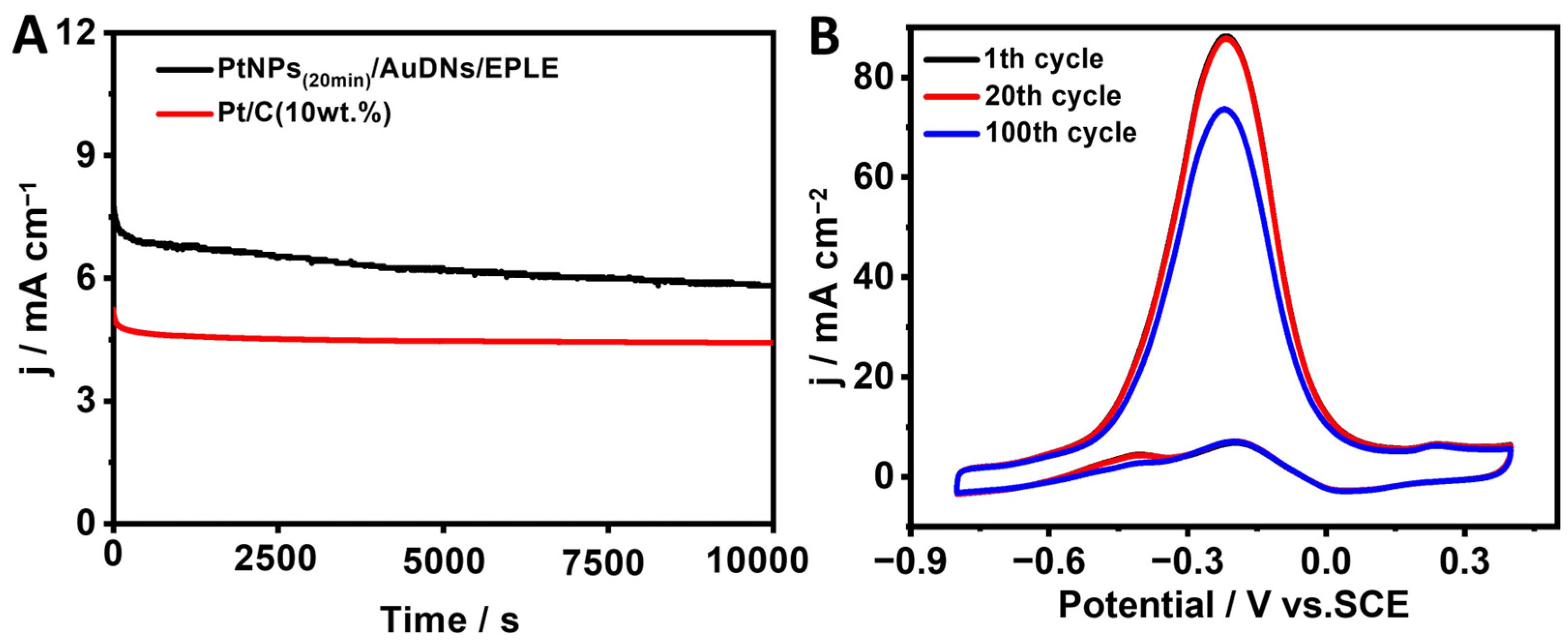 Coatings 15 00458 g010