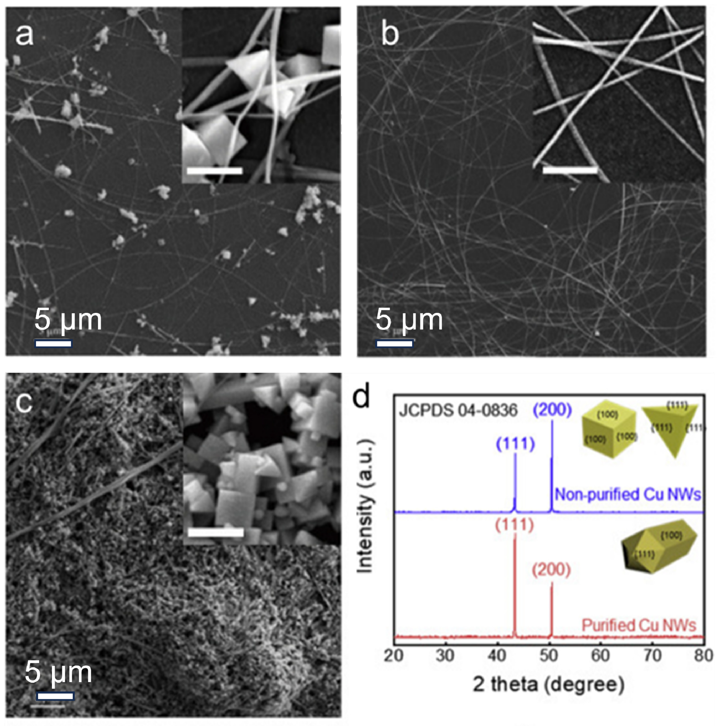 Coatings 15 00465 g003