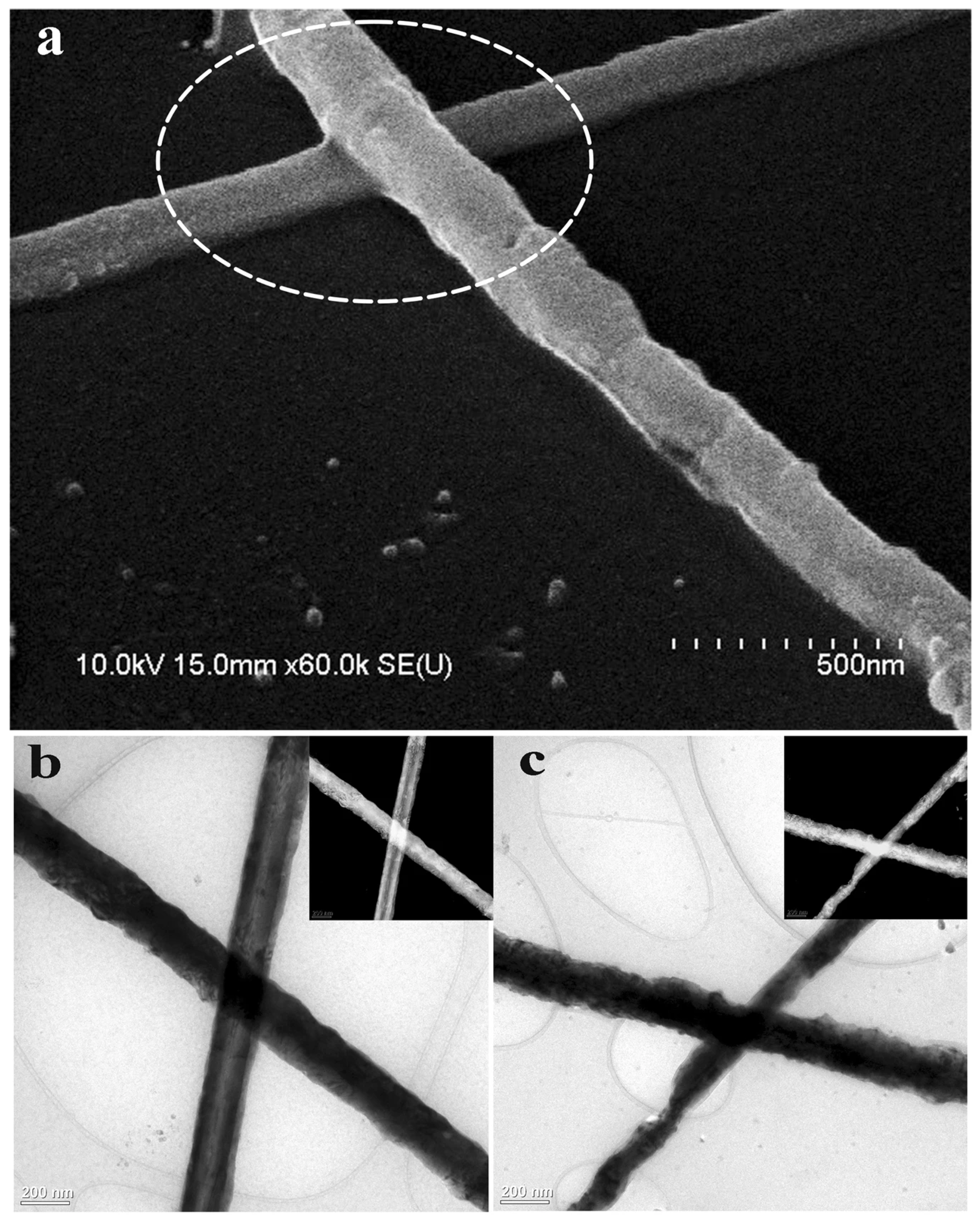 Coatings 15 00465 g005