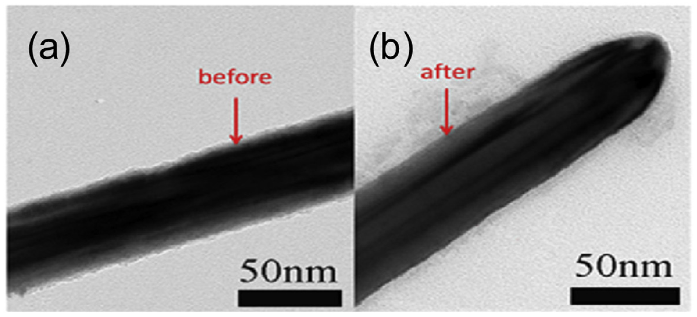 Coatings 15 00465 g006
