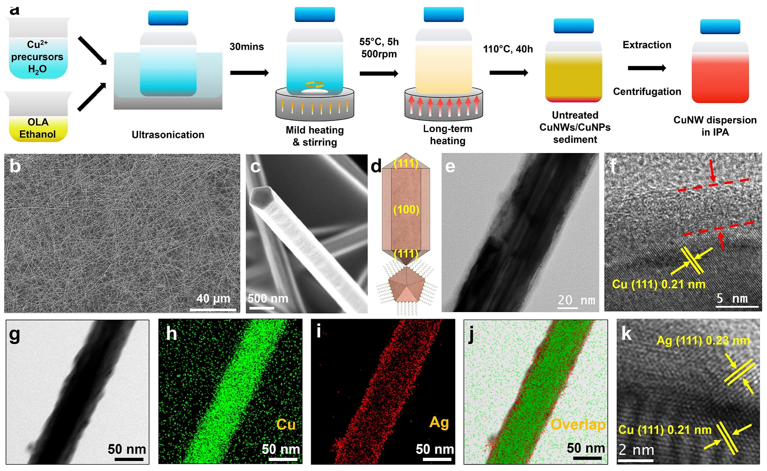 Coatings 15 00465 g008