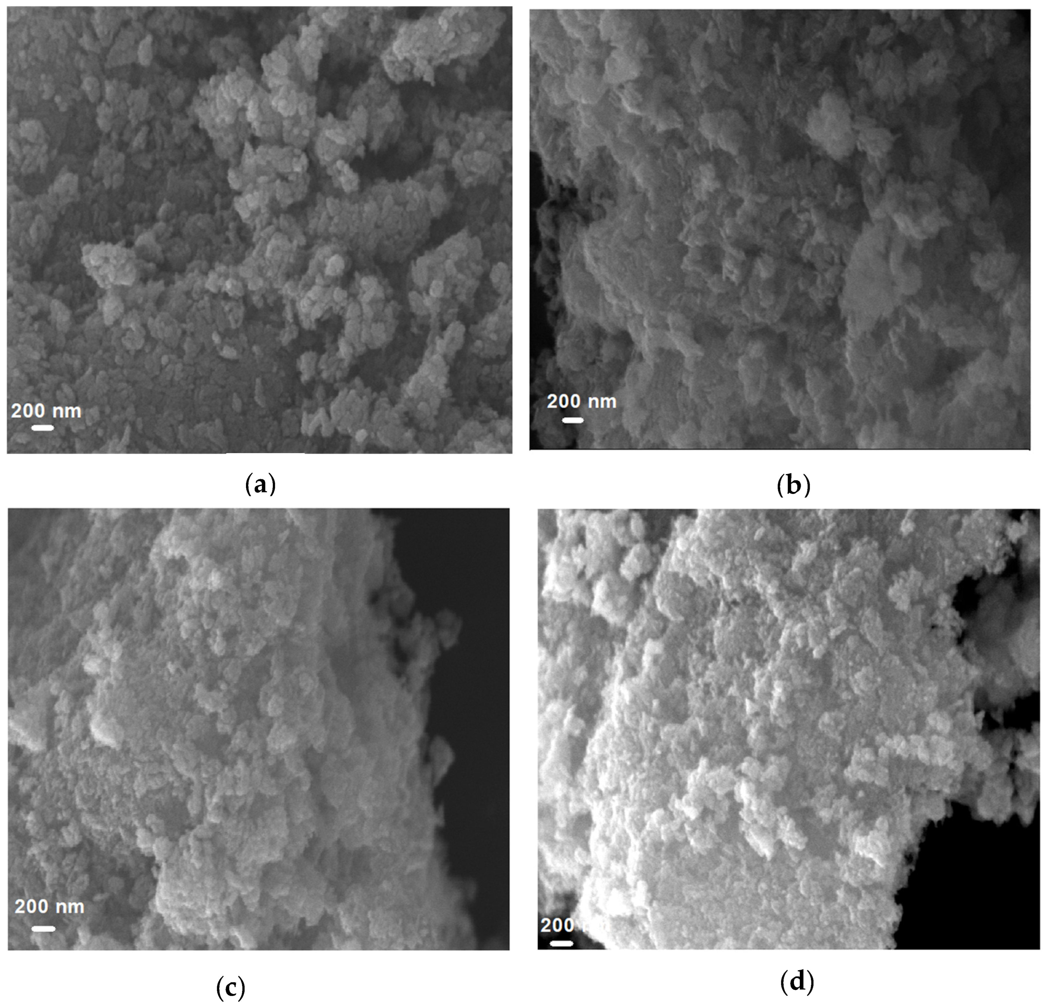 Coatings 15 00467 g001