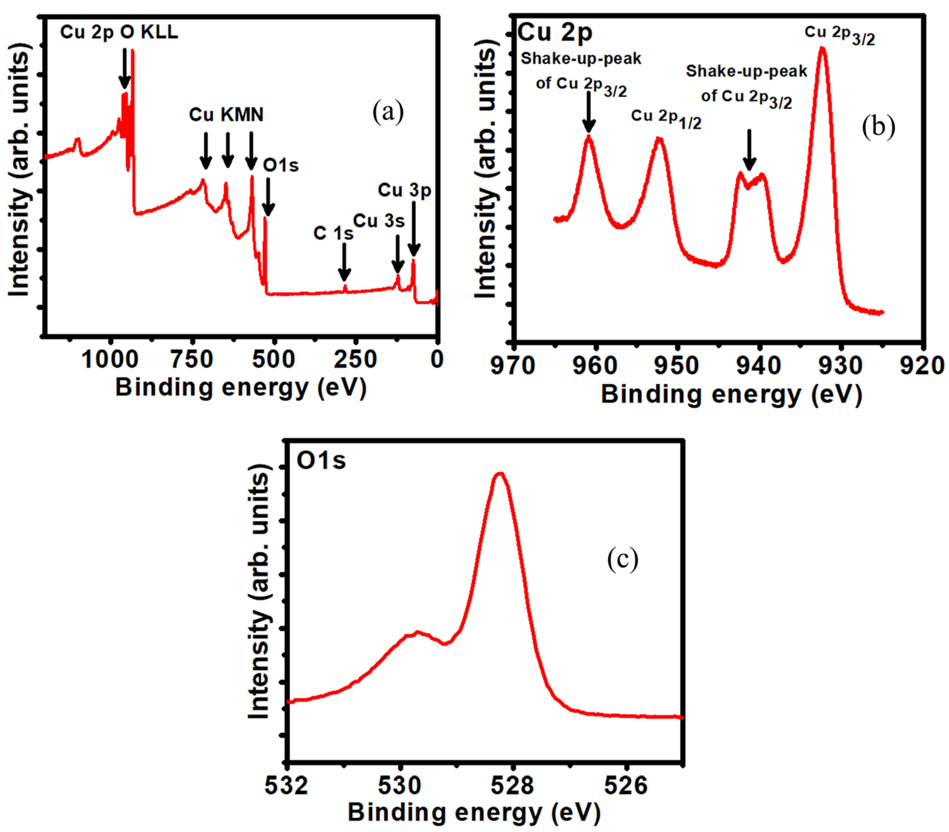 Coatings 15 00467 g002