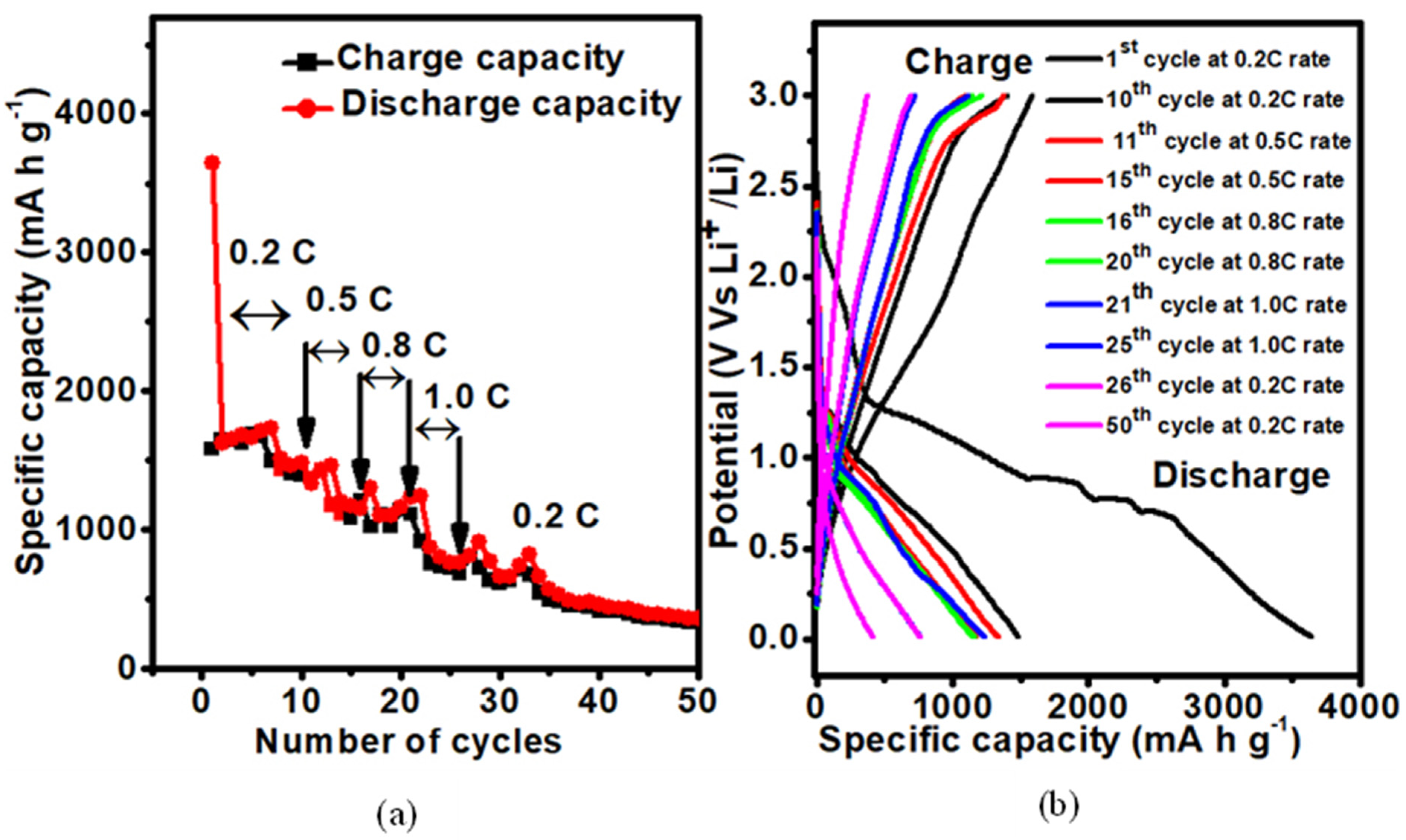 Coatings 15 00467 g009
